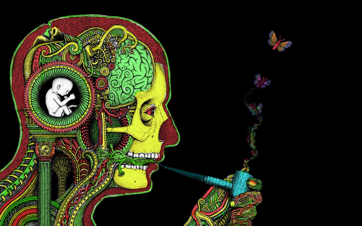 General 1440x900 pipes face butterfly brain Rastafari H. R. Giger artwork psychedelic skull surreal smoking