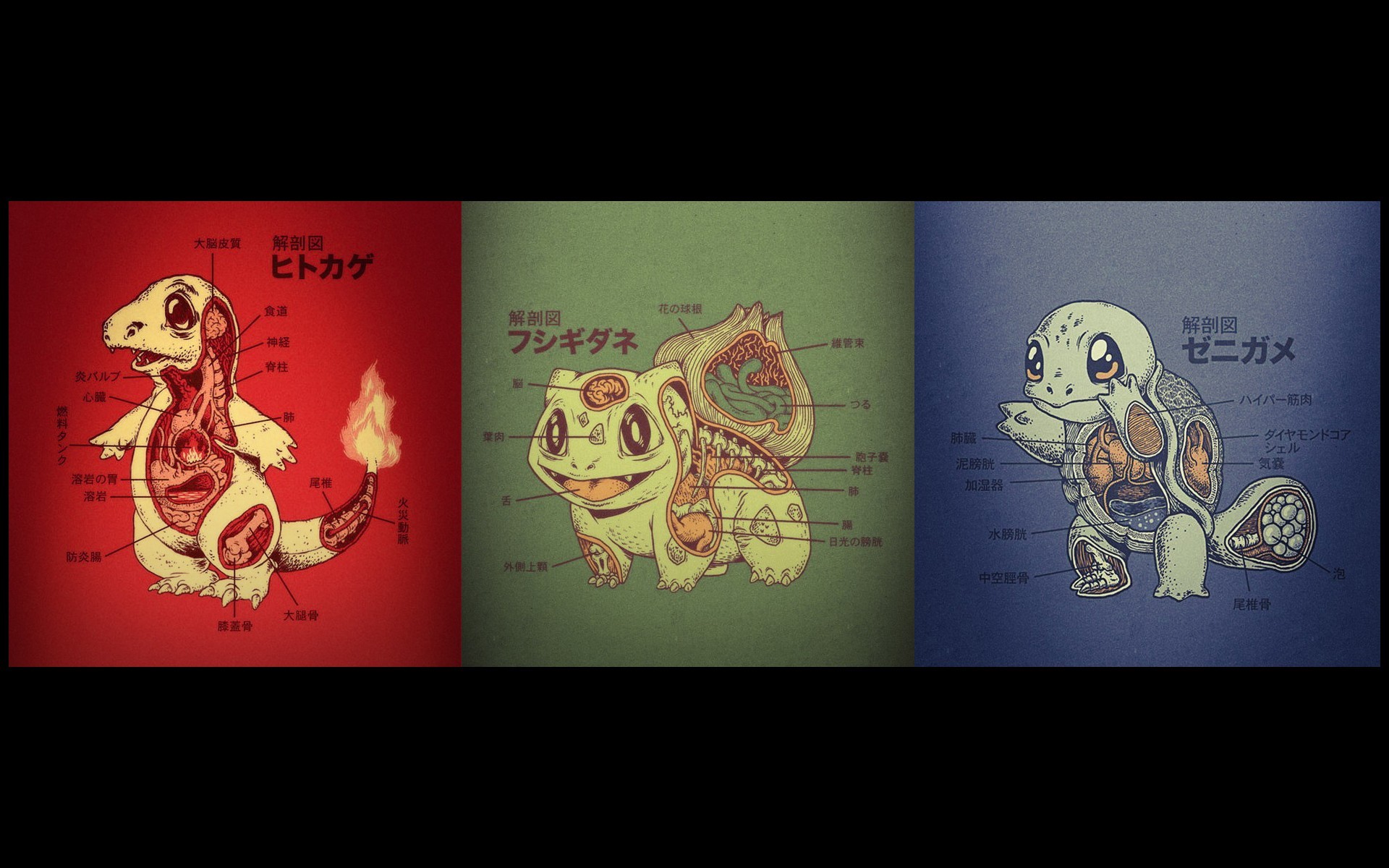 Anime 1920x1200 Pokémon Charmander Bulbasaur Squirtle anatomy anime collage