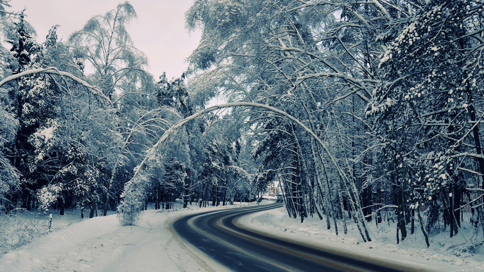 General 1920x1080 road winter snow forest cold outdoors