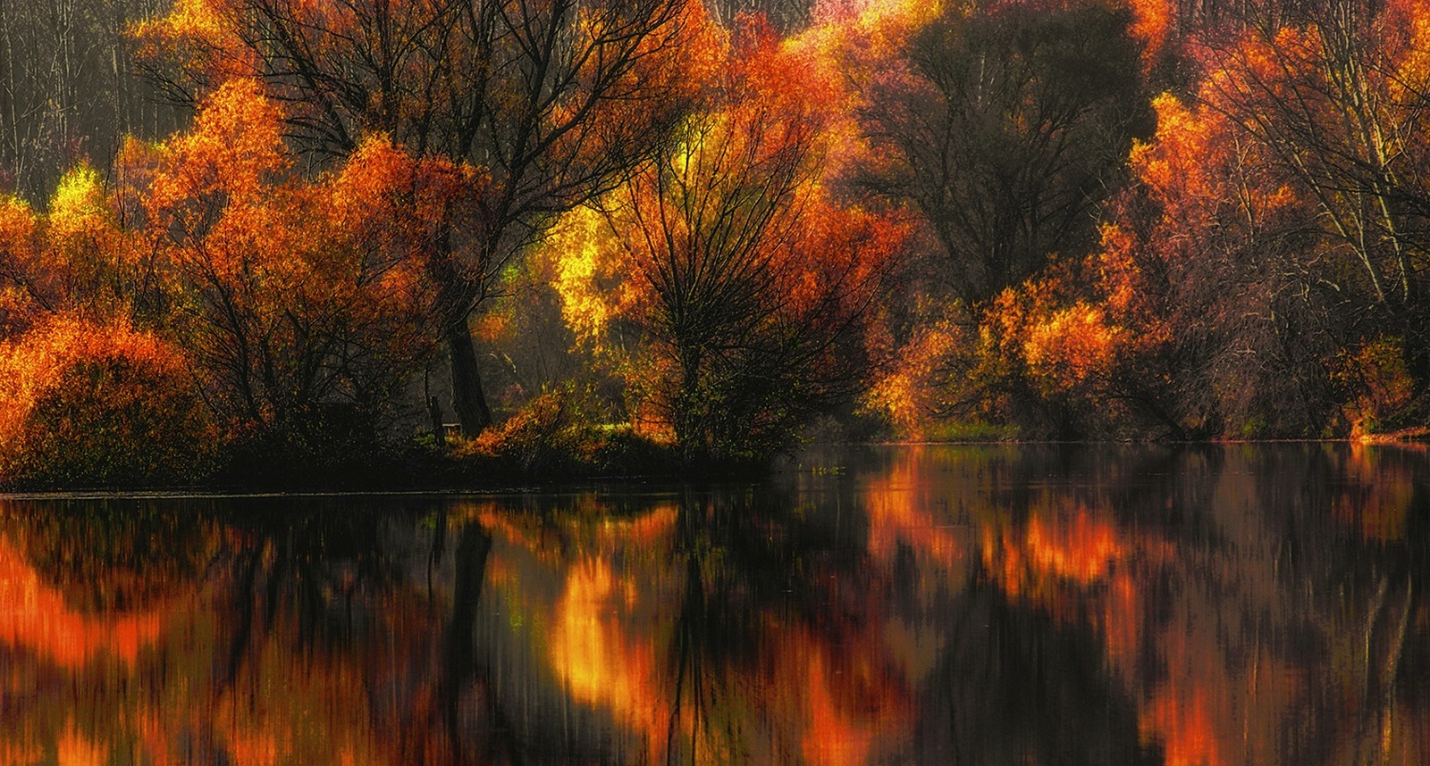 General 1600x858 nature fall colorful lake water reflection forest amber yellow leaves trees