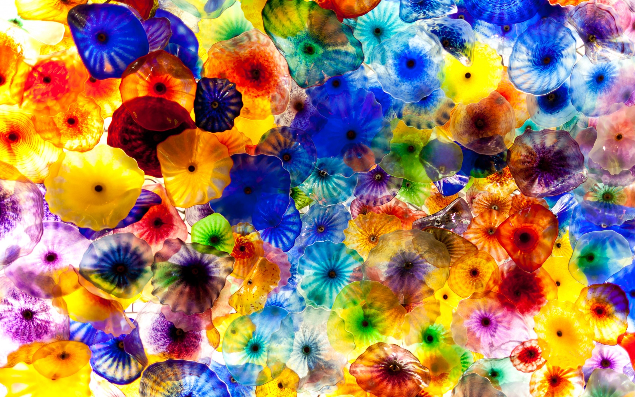 General 2560x1600 colorful jellyfish digital art artwork