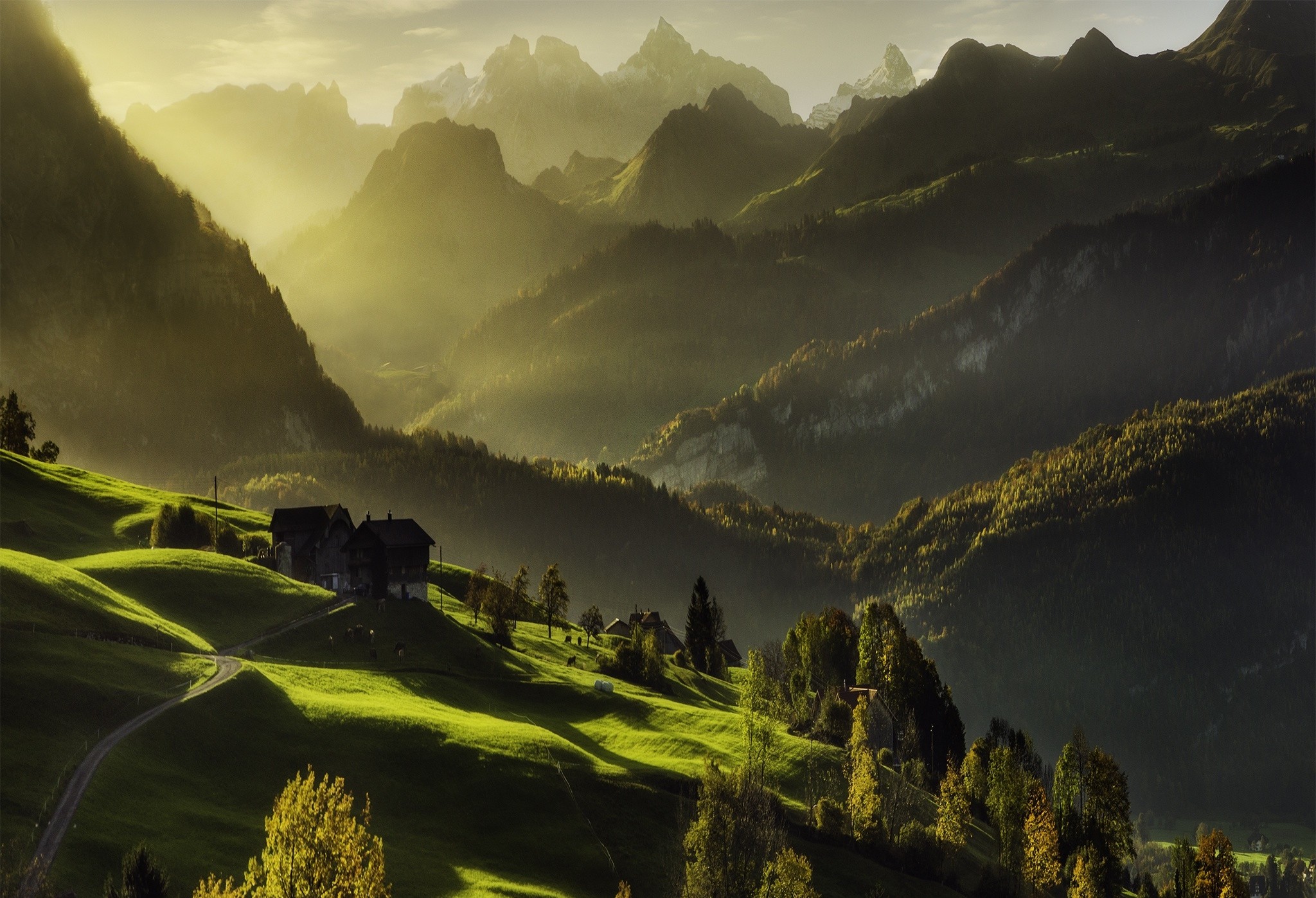 General 2048x1397 Switzerland mountains mist forest road grass green fall cabin Alps landscape nature valley