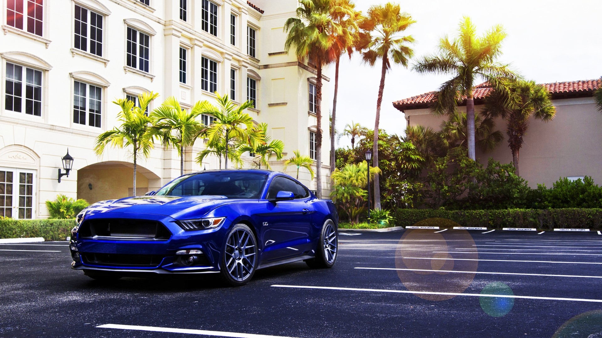 General 1920x1080 car Ford Mustang blue cars palm trees Ford vehicle Ford Mustang S550 American cars