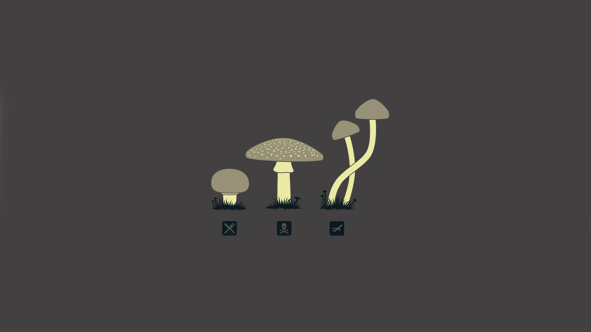 General 1920x1080 mushroom drugs minimalism plants simple background humor gray background gray skull and bones