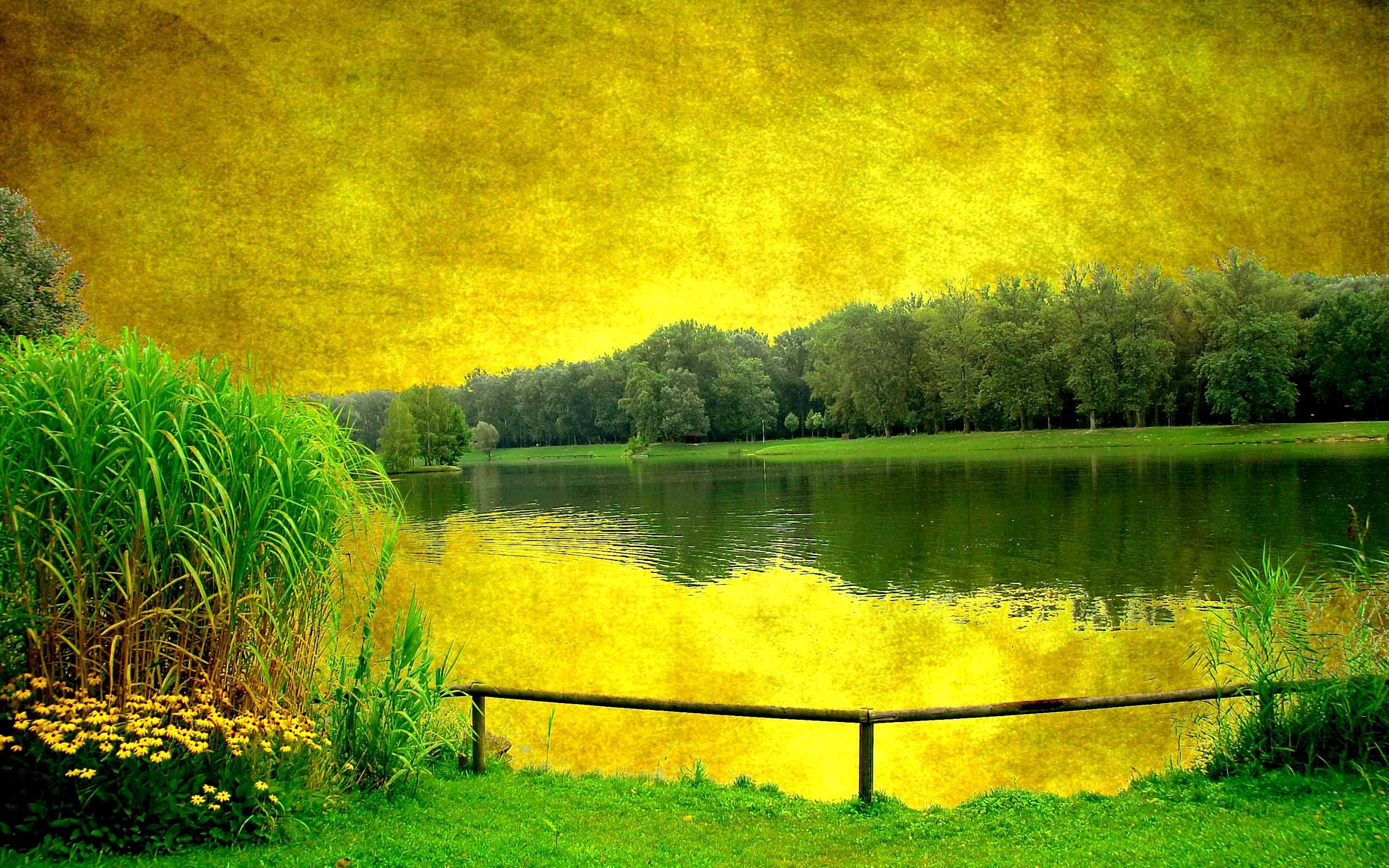 General 2560x1600 landscape plants outdoors water photo manipulation photoshopped digital art