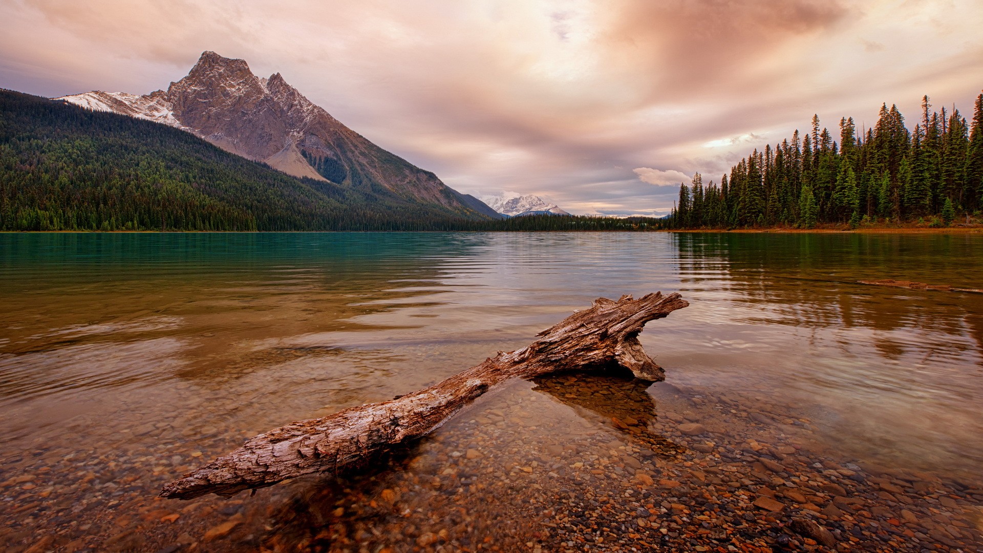 General 1920x1080 nature landscape water clouds Canada lake dead trees stones trees forest mountains snow