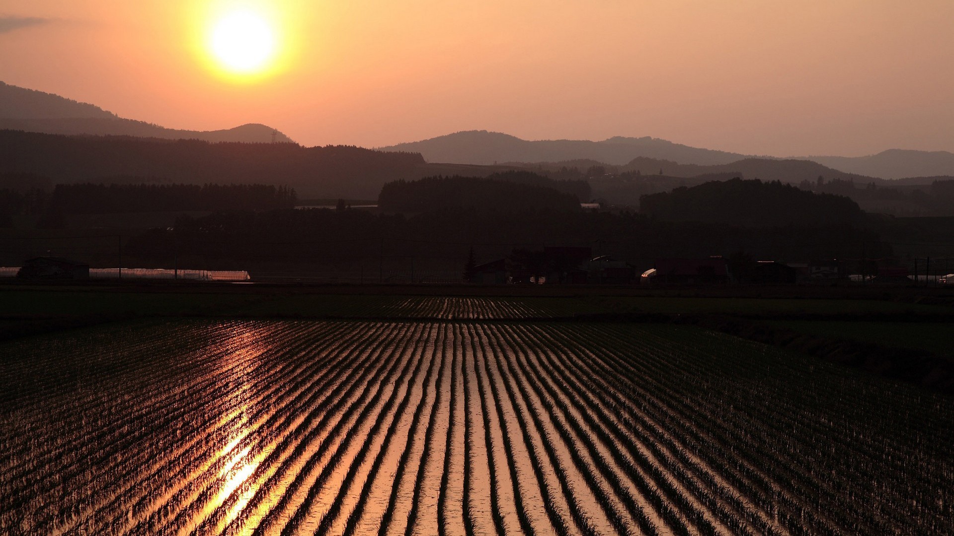 General 1920x1080 landscape sunset rice fields hills Agro (Plants) field Sun dark