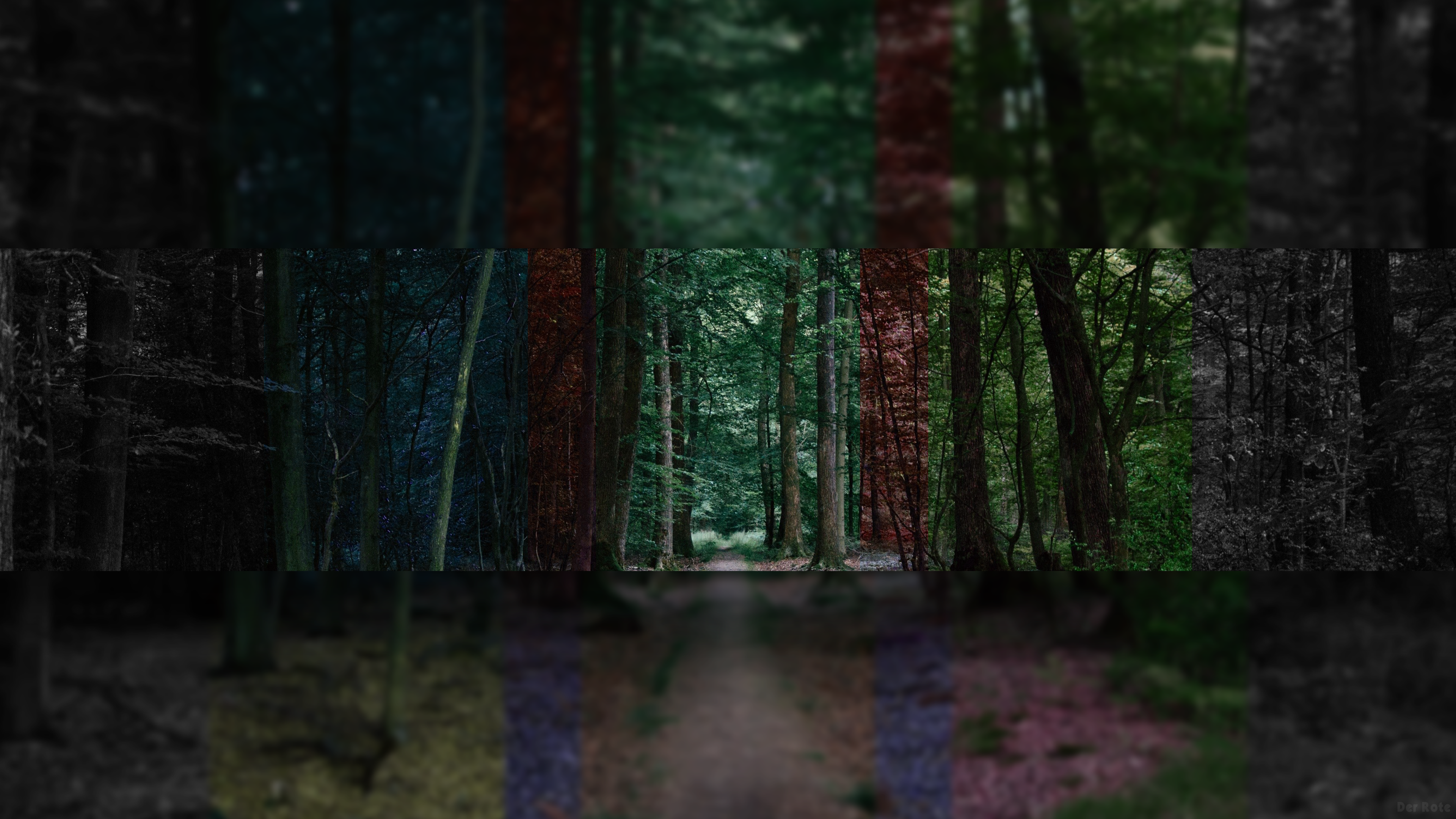General 3840x2160 trees digital art forest nature