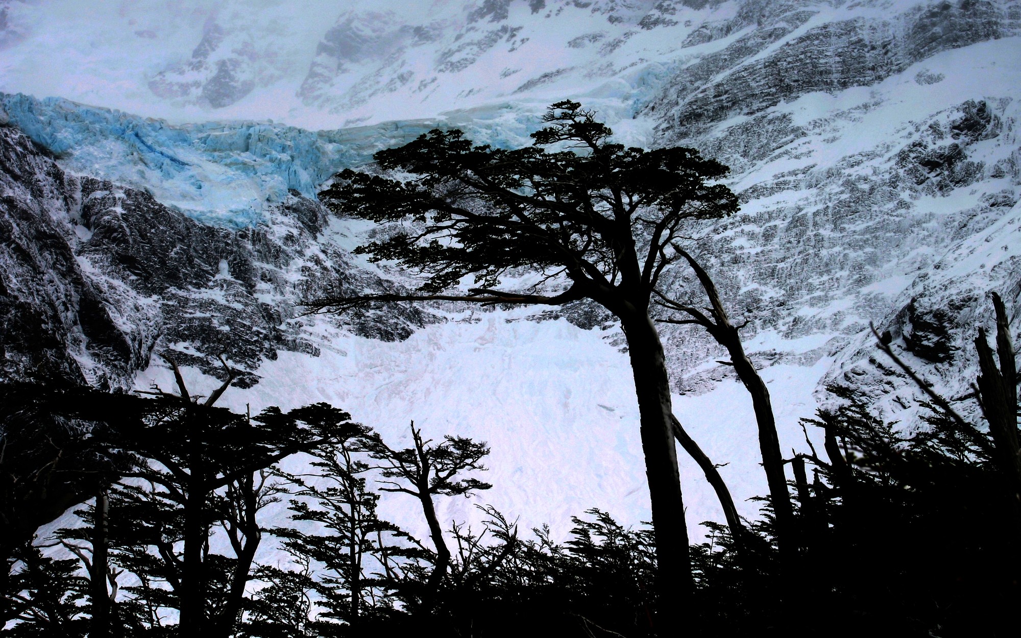 General 2000x1250 landscape nature mountains snow glacier winter trees Torres del Paine Chile mist silhouette South America
