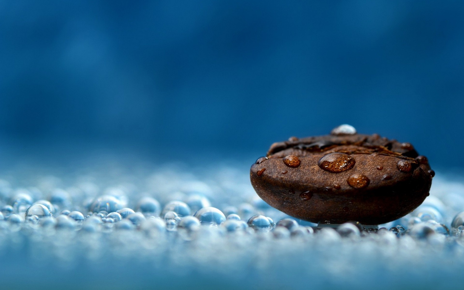 General 1920x1200 macro depth of field coffee beans water drops blue photography