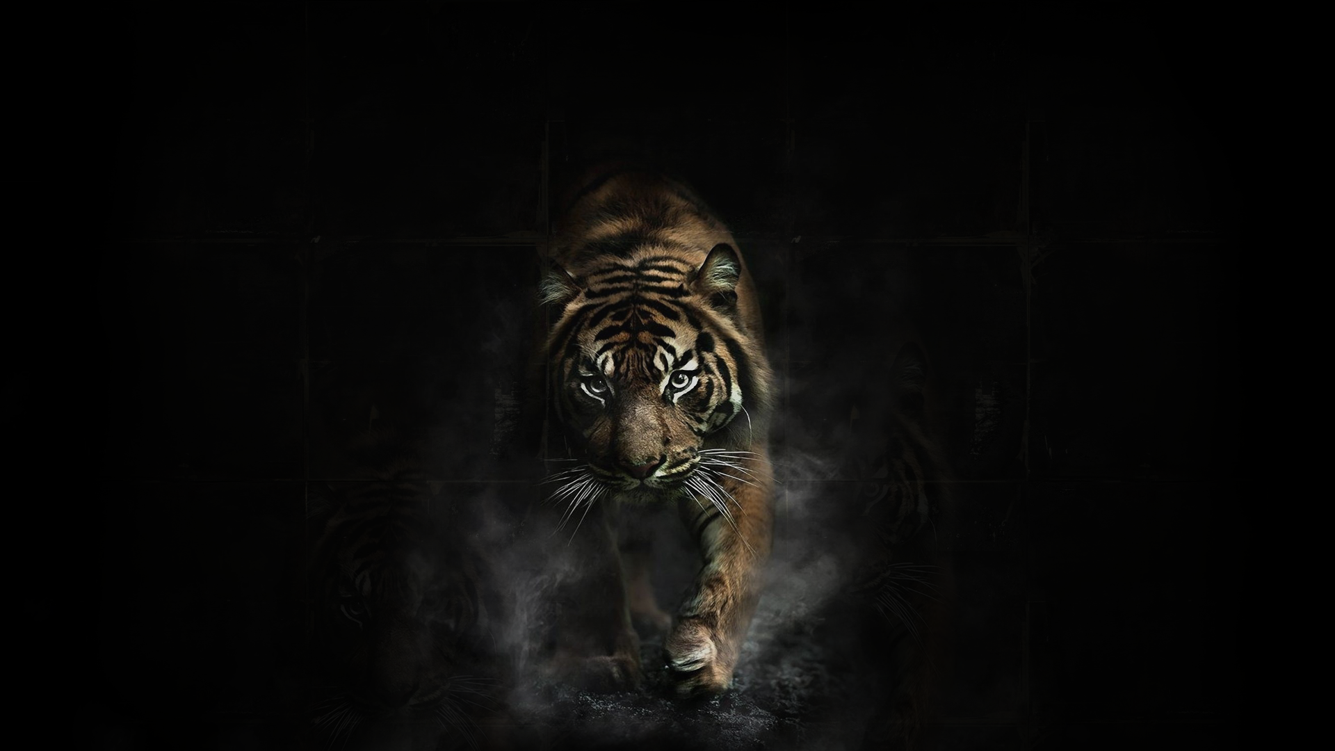 General 1920x1080 tiger animals dark artwork big cats mammals simple background black background