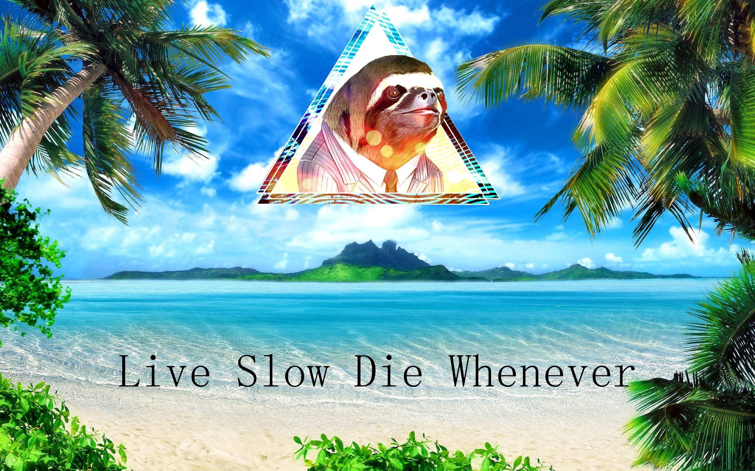 General 2560x1600 motivational sloths humor artwork memes text beach island tropical clear water sea digital art clouds water animals