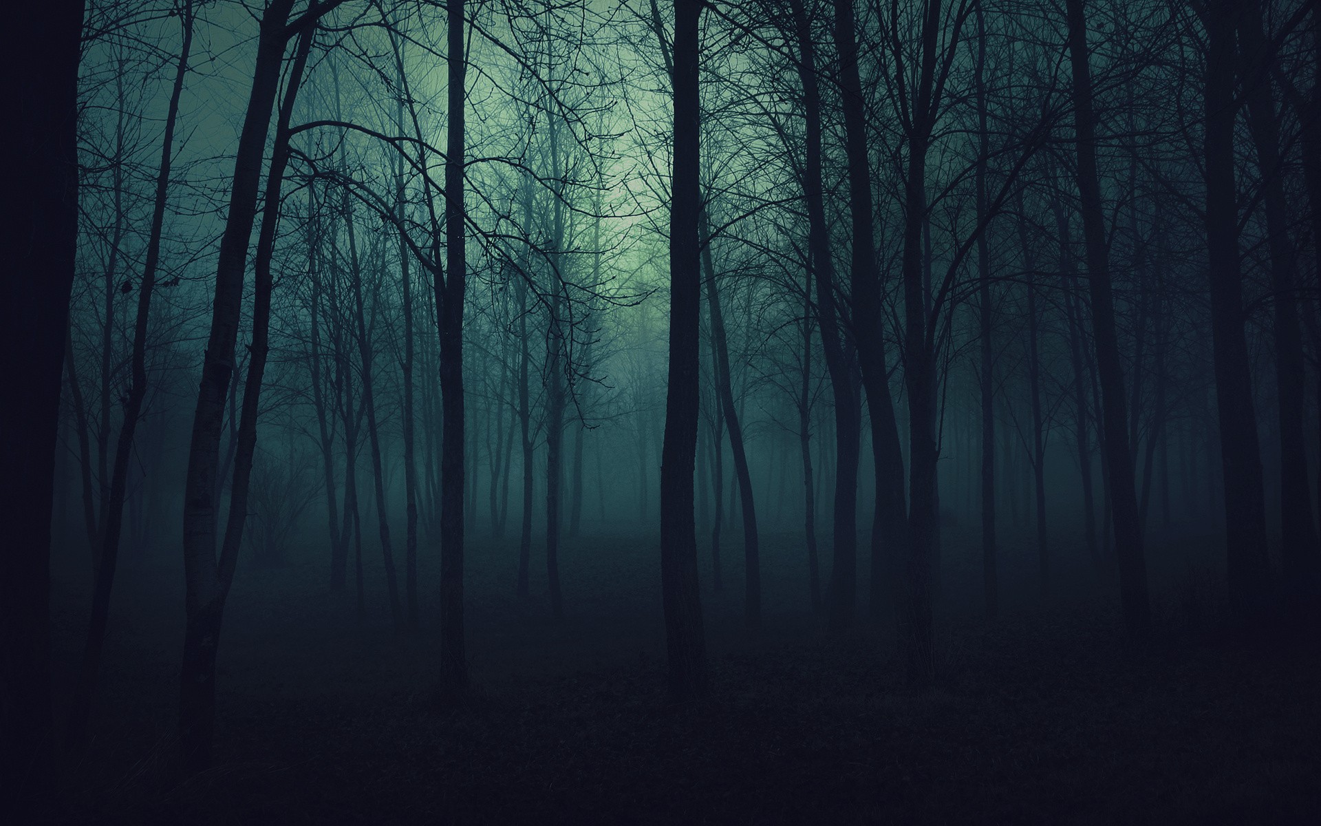 General 1920x1200 forest spooky dark landscape nature trees