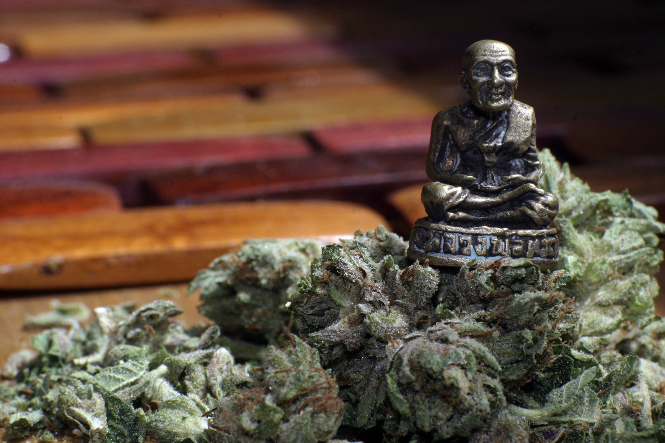 General 2304x1536 cannabis Buddha drugs plants closeup