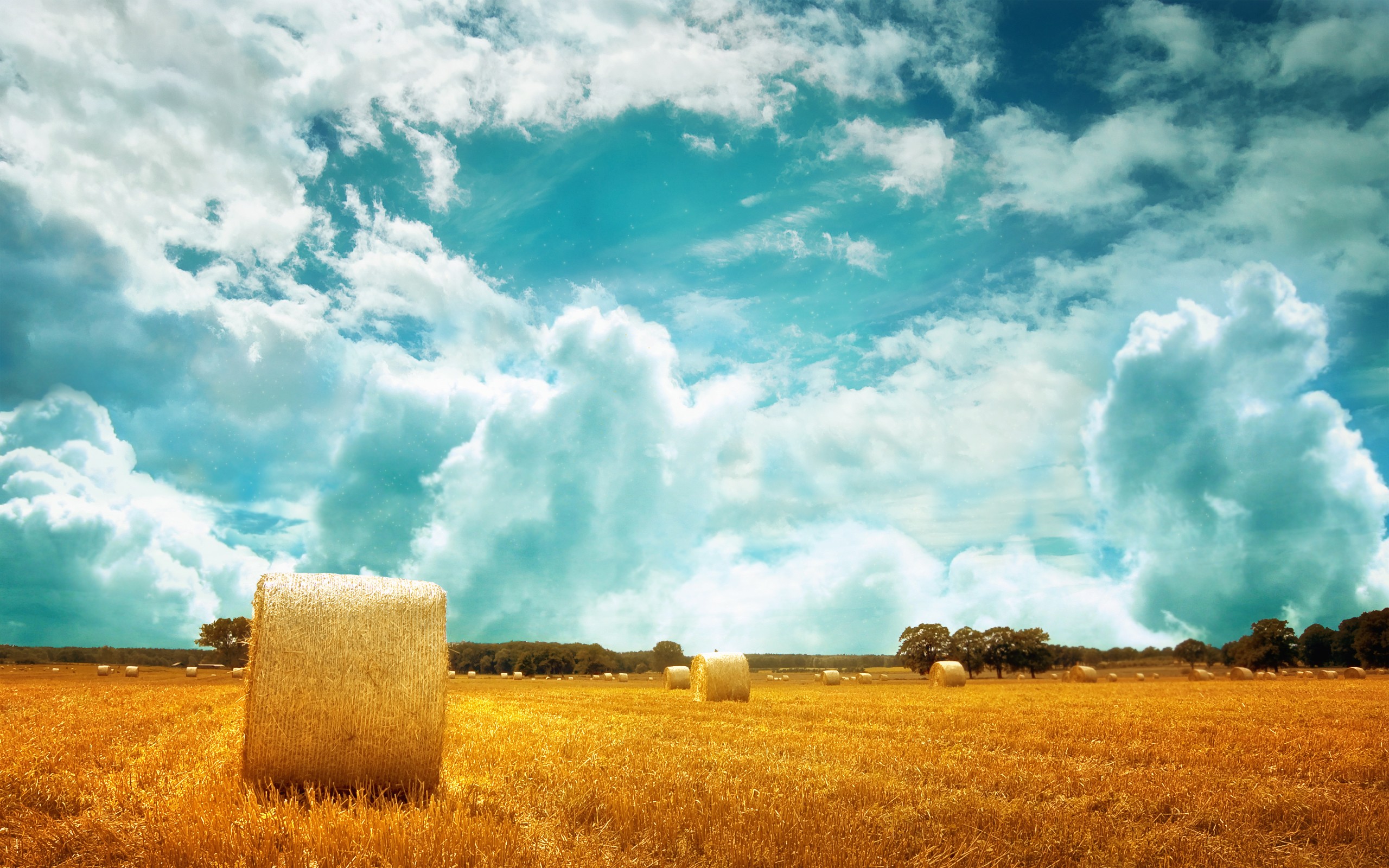 General 2560x1600 landscape nature sky field clouds haystacks plants outdoors plains filter hay bales