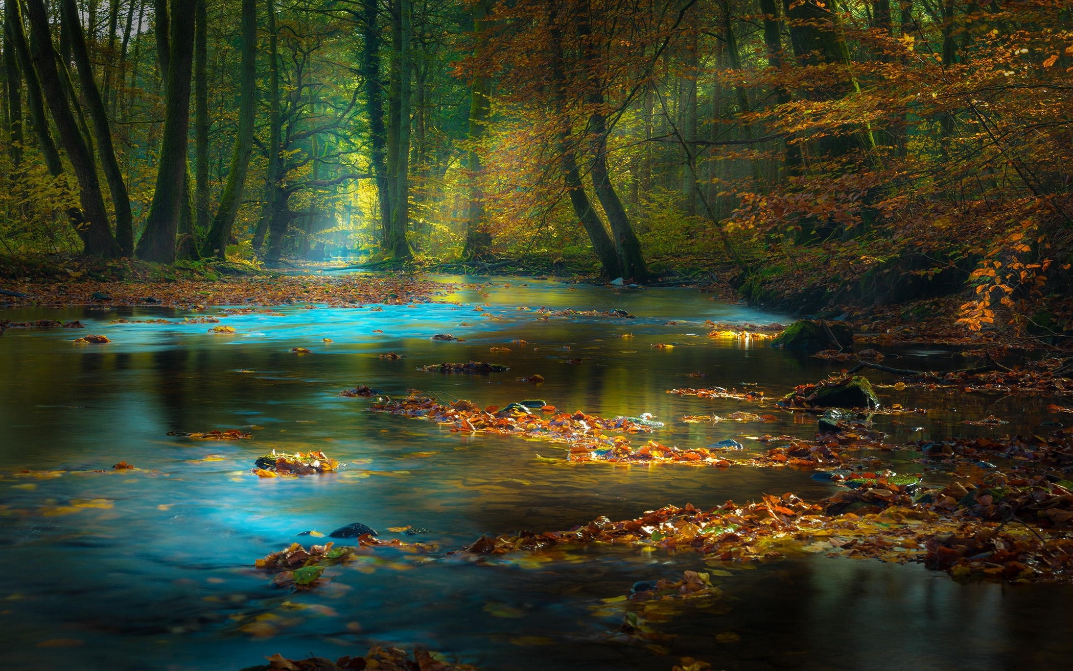 General 2100x1315 nature forest river fall leaves sun rays mist sunlight trees morning Germany water