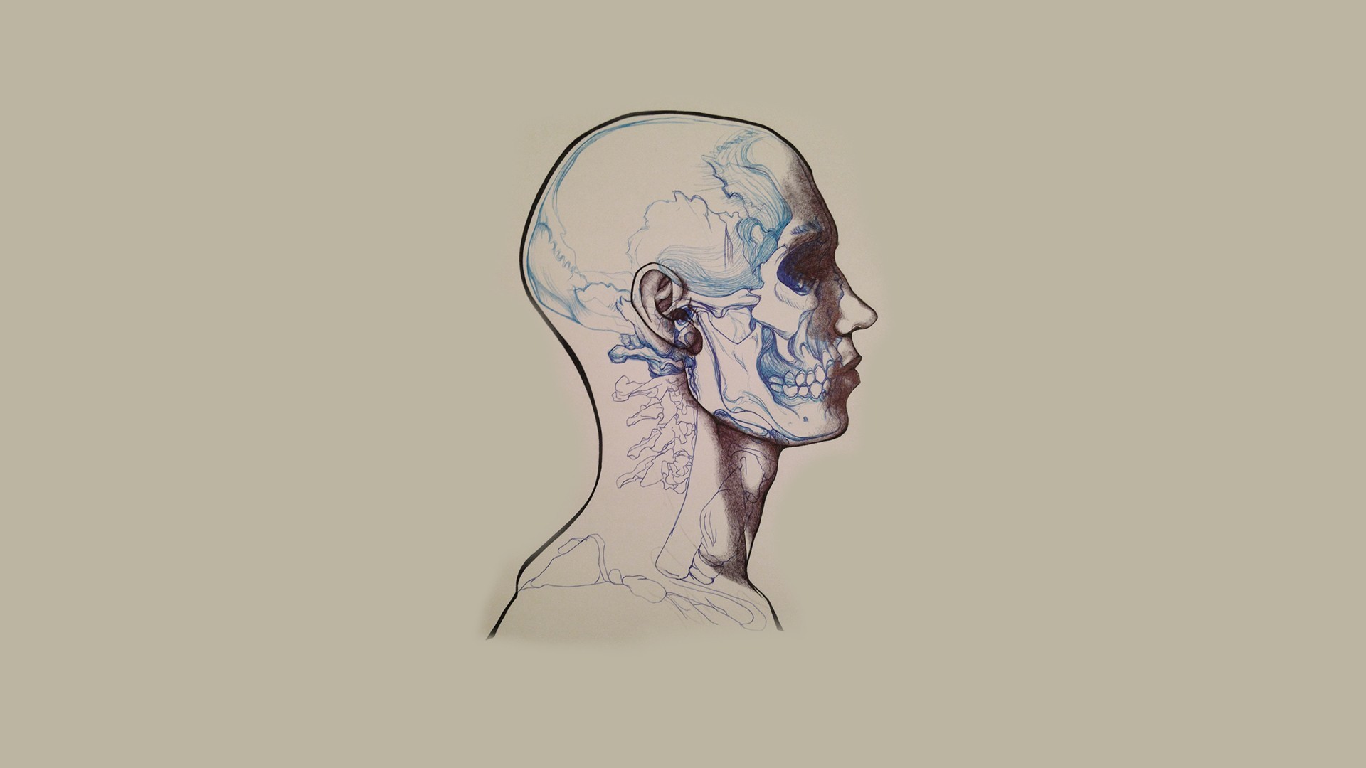 General 1920x1080 skull minimalism artwork people anatomy simple background head bones