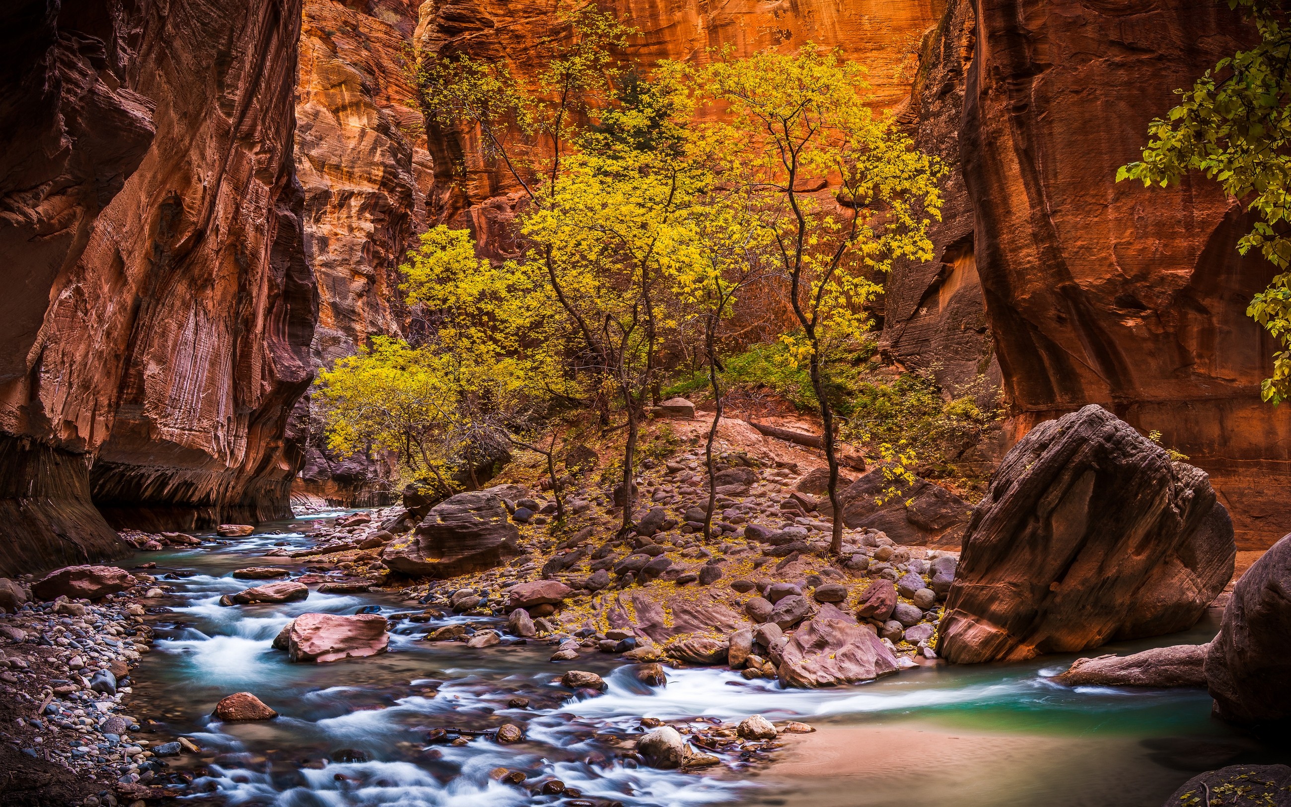 General 2600x1625 landscape nature Zion National Park river canyon Utah trees erosion red USA national park stones pebbles valley HDR stream rocks