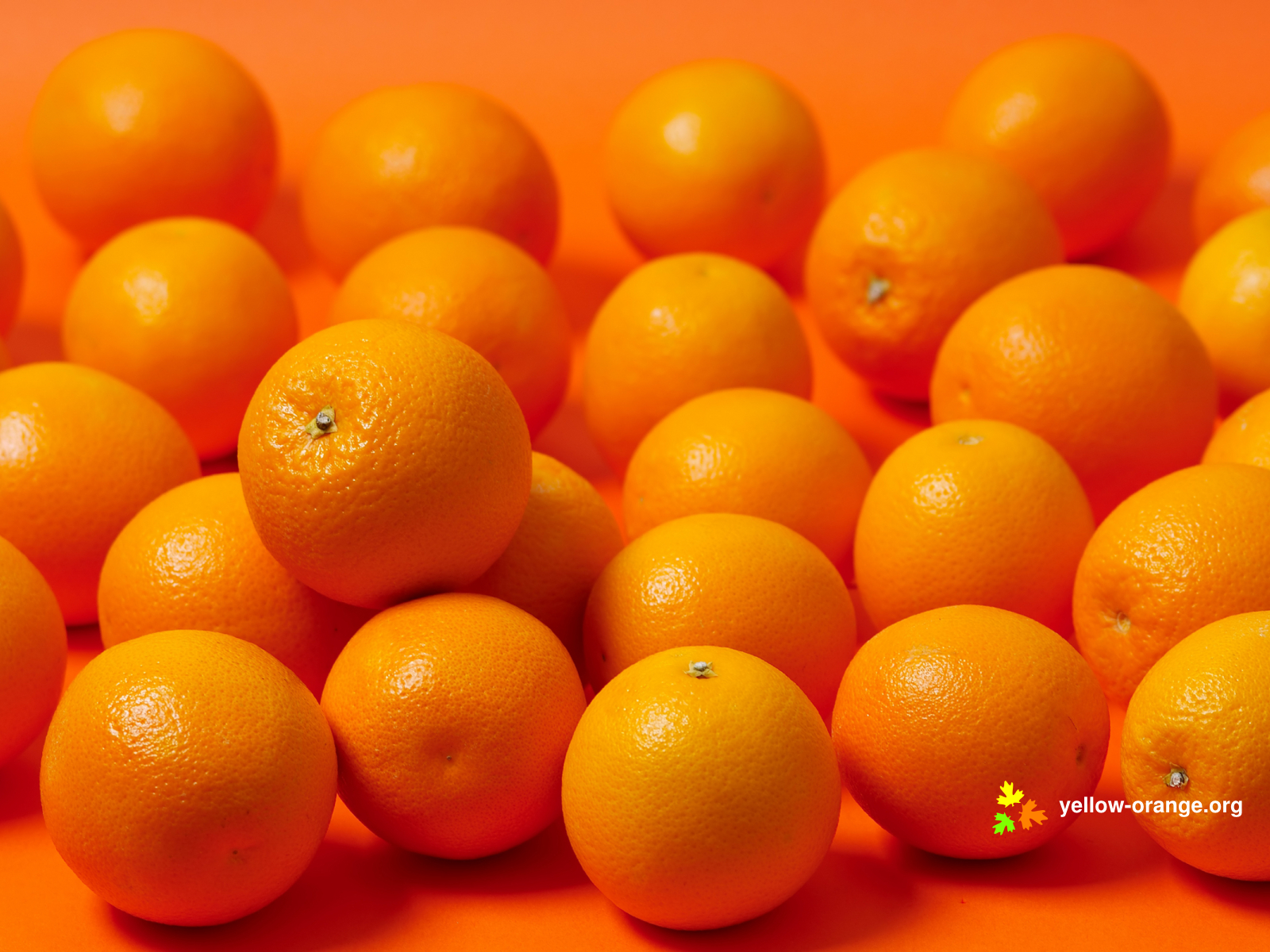 General 1600x1200 orange (fruit) orange fruit food orange background