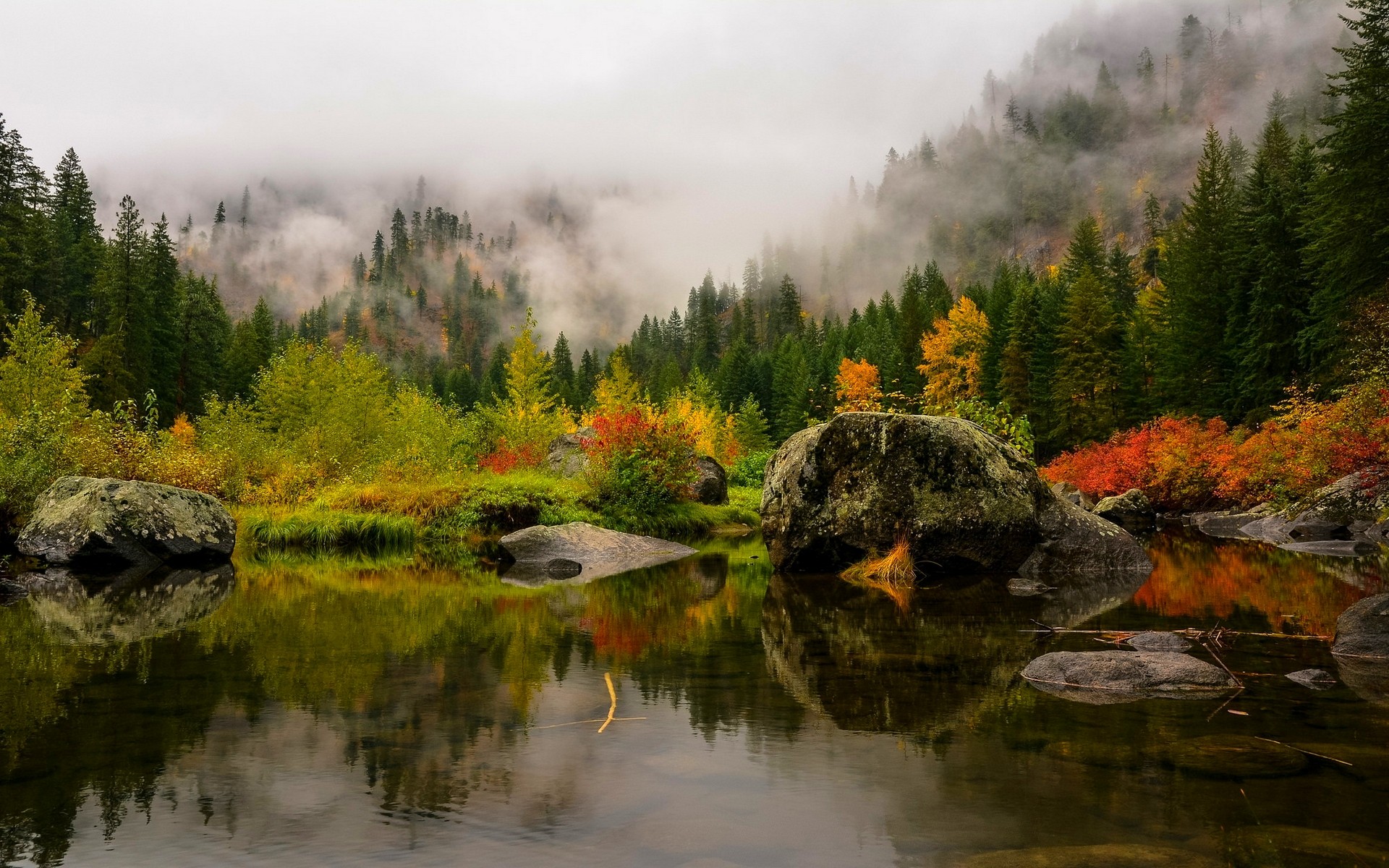 General 1920x1200 nature landscape fall lake mist forest mountains pine trees water reflection red yellow green