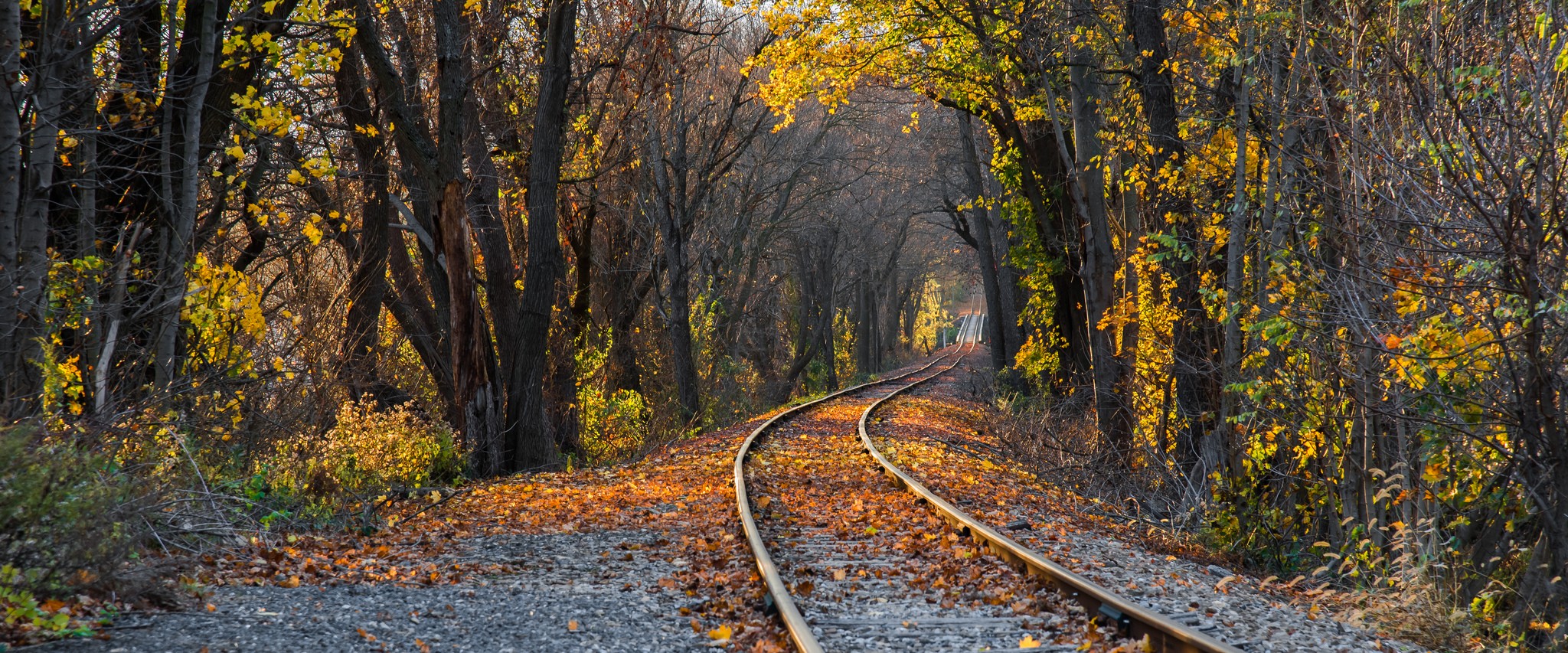 General 2048x853 railway forest fall nature fallen leaves outdoors trees