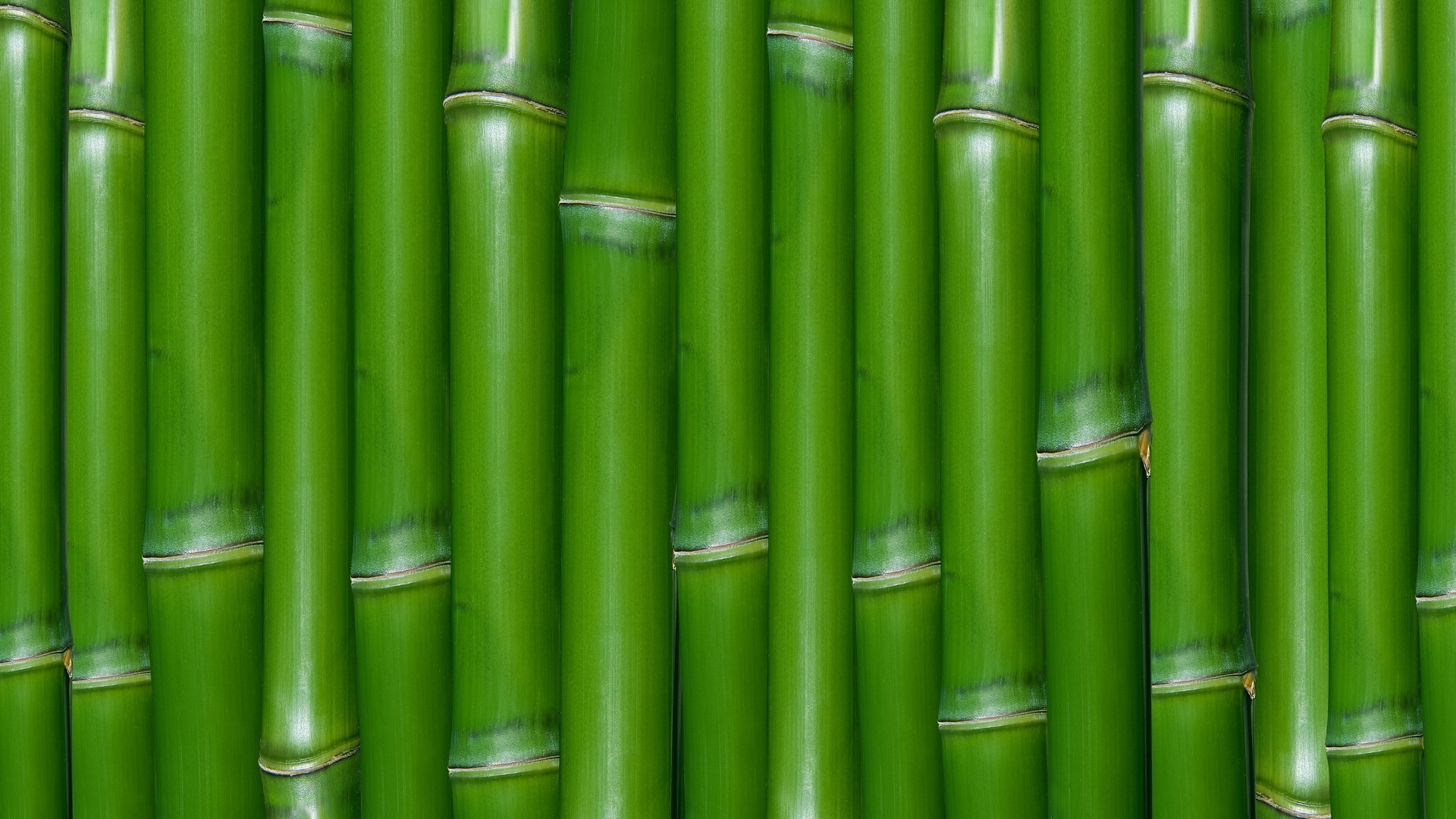 General 1920x1080 bamboo wood texture plants