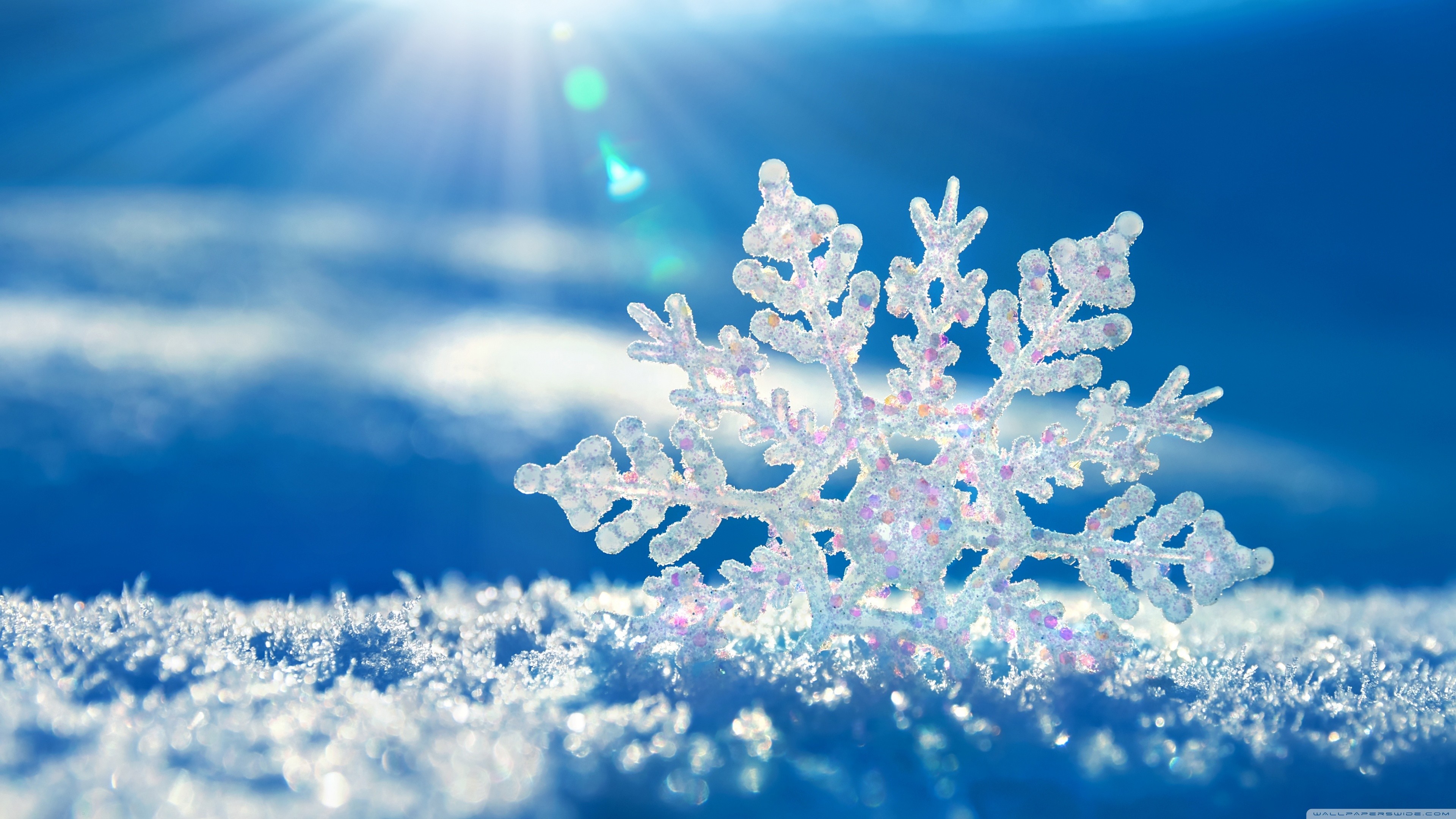 General 3840x2160 snowflakes winter macro snow blue background frost cold ice sunlight Ice crystals