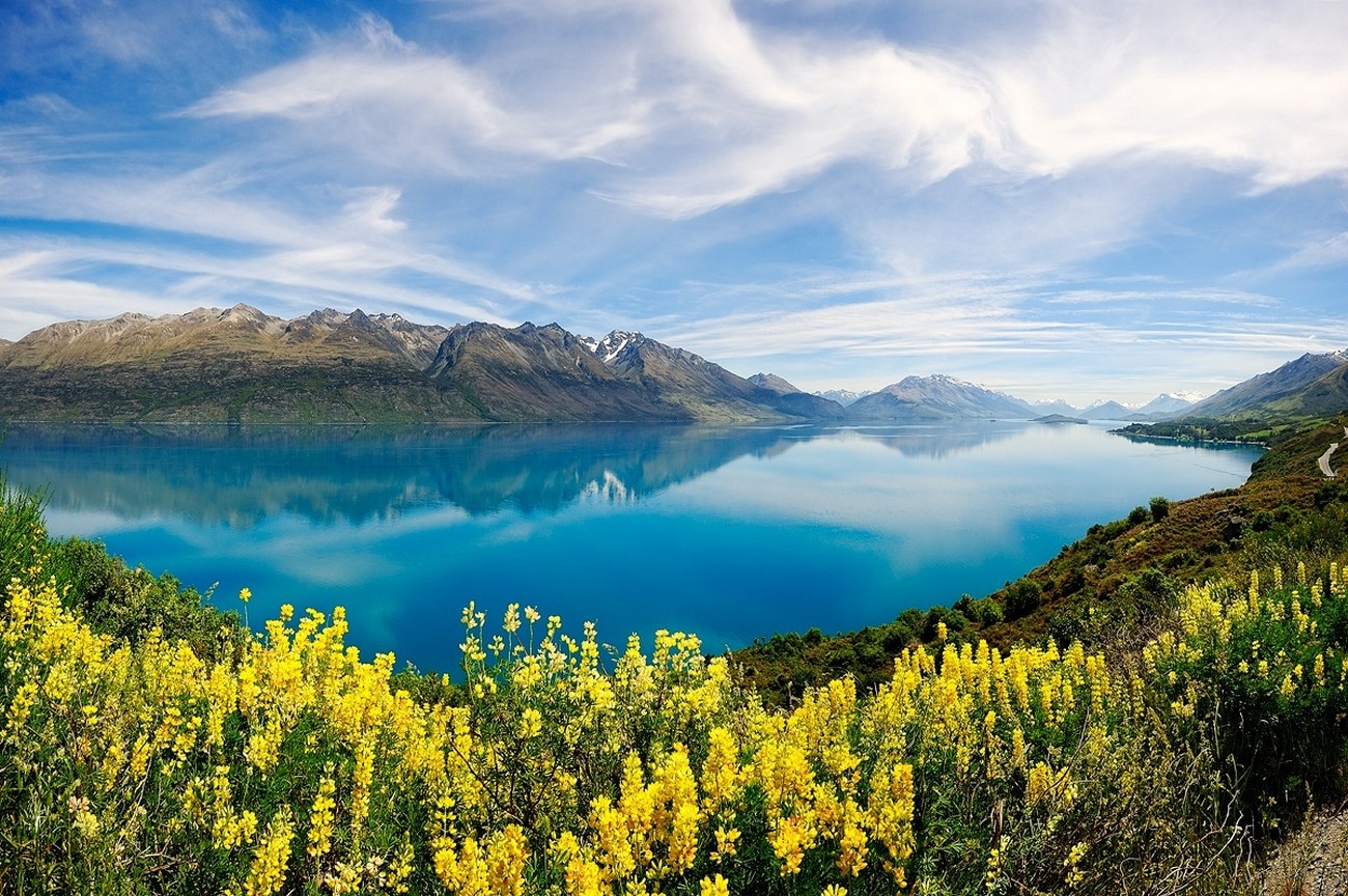 General 1300x864 nature landscape lake yellow wildflowers turquoise water reflection mountains clouds spring New Zealand