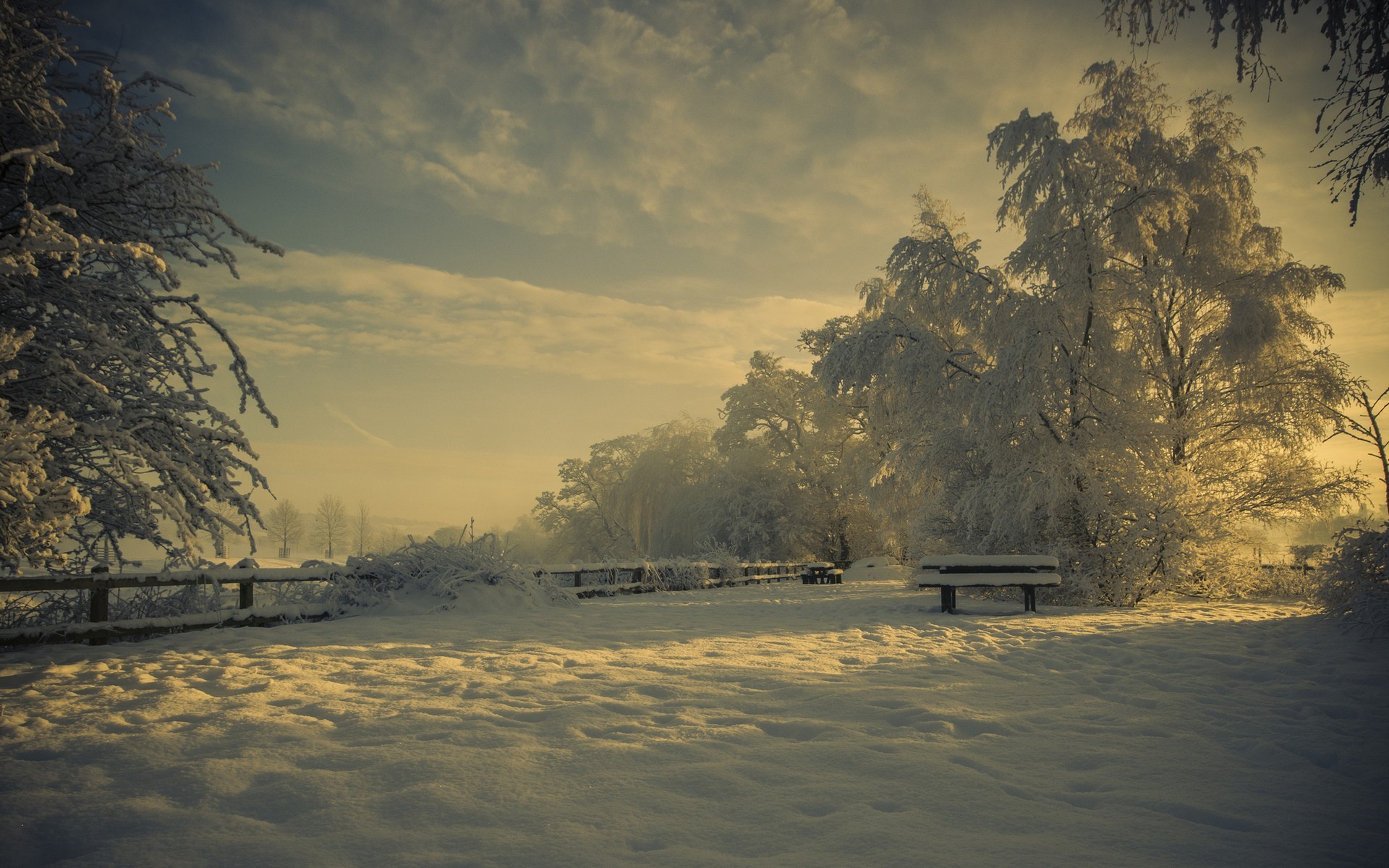 General 1920x1200 winter snow cold ice outdoors park trees