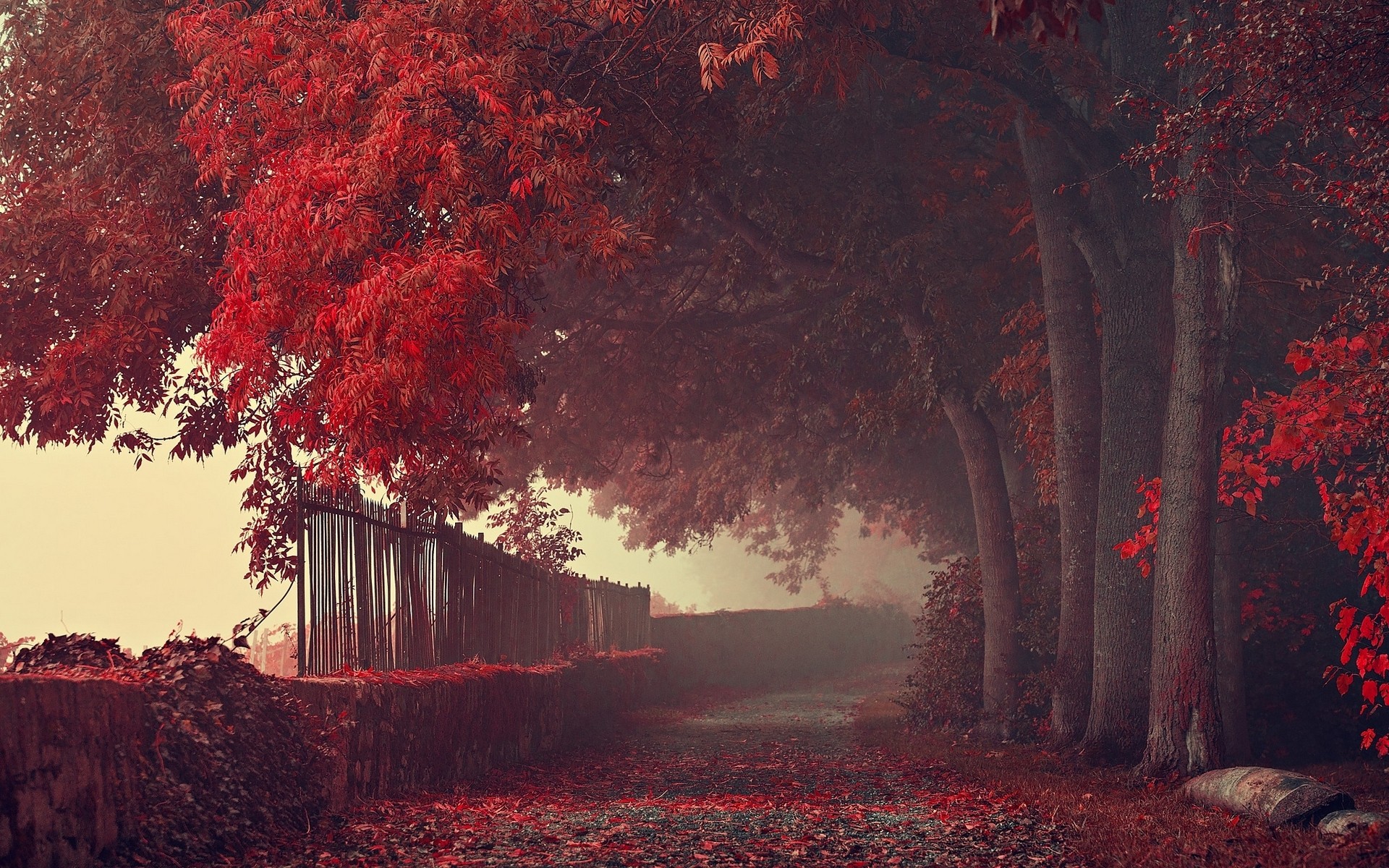 General 1920x1200 fall path fence trees leaves red mist fallen leaves outdoors
