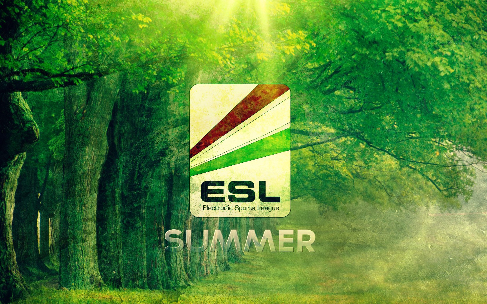 General 1680x1050 Electronic Sports League summer PC gaming logo