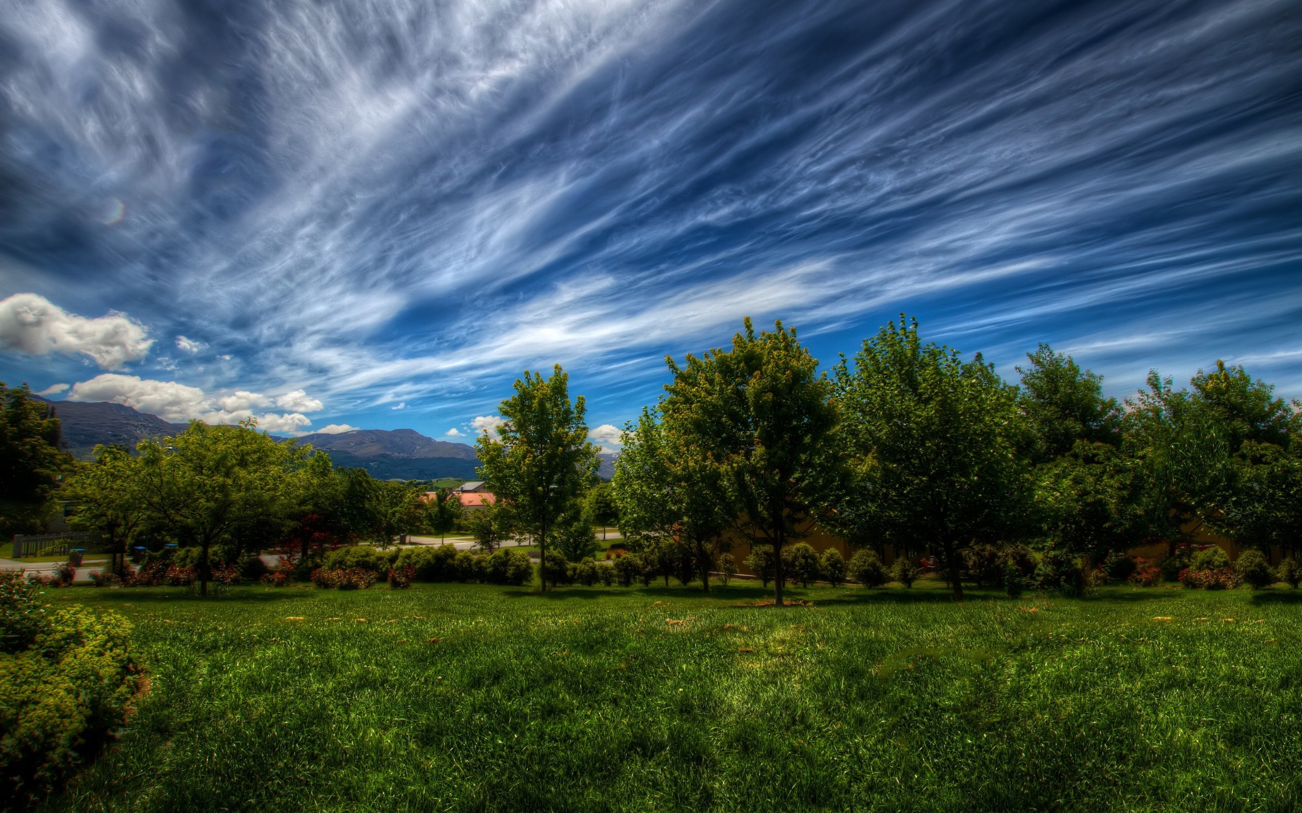 General 2560x1600 nature landscape trees grass clouds
