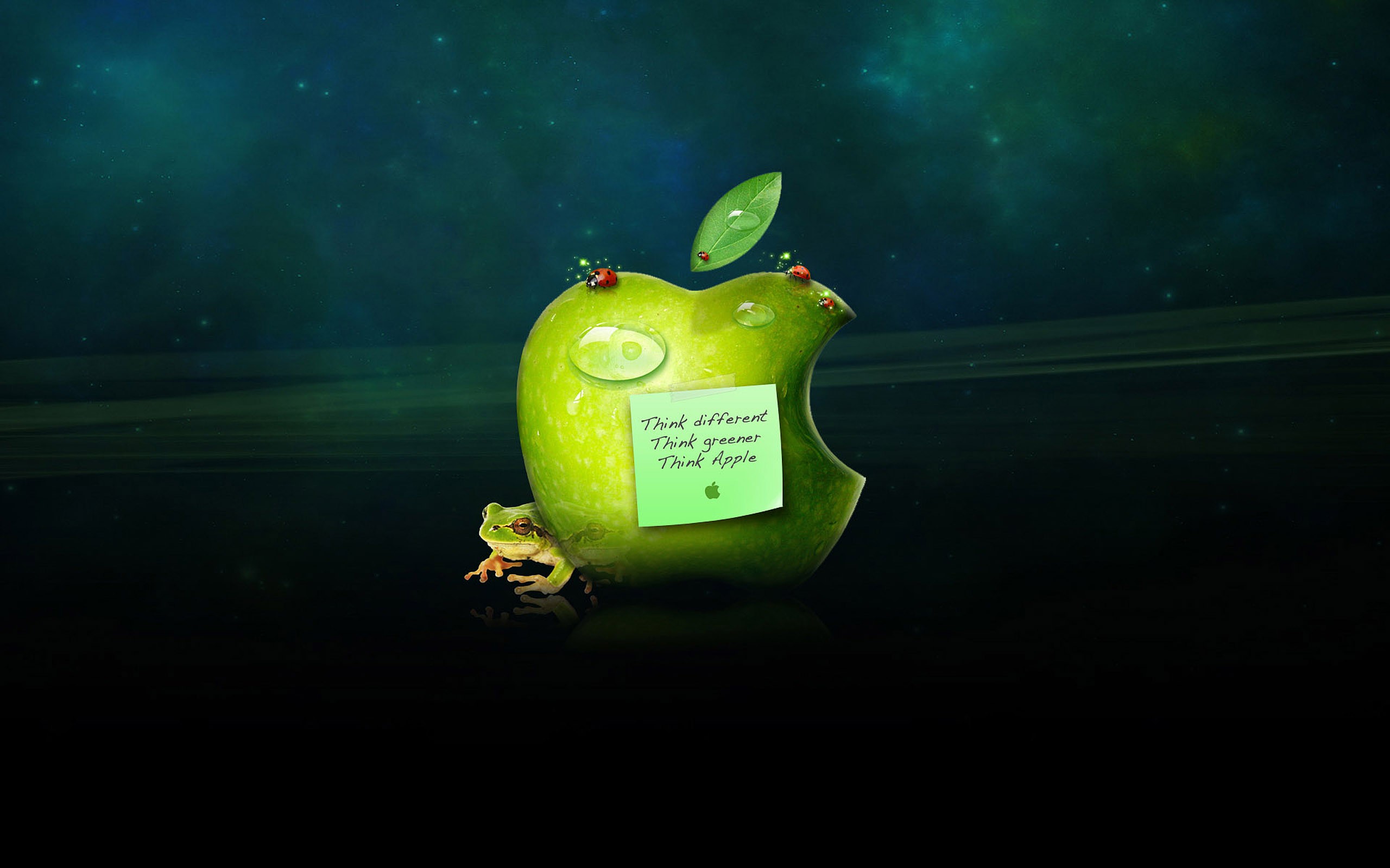 General 2560x1600 humor apples frog ladybugs food fruit animals insect green digital art simple background