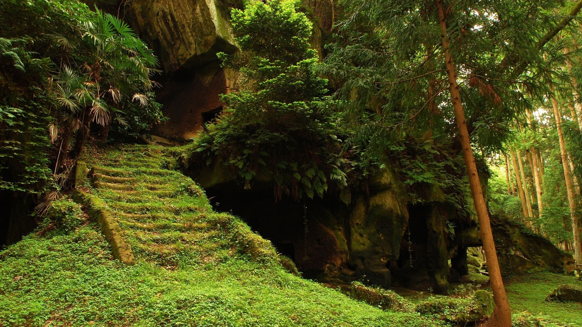 General 1920x1080 overgrown stairs abandoned forest Japan grave Asia plants outdoors trees