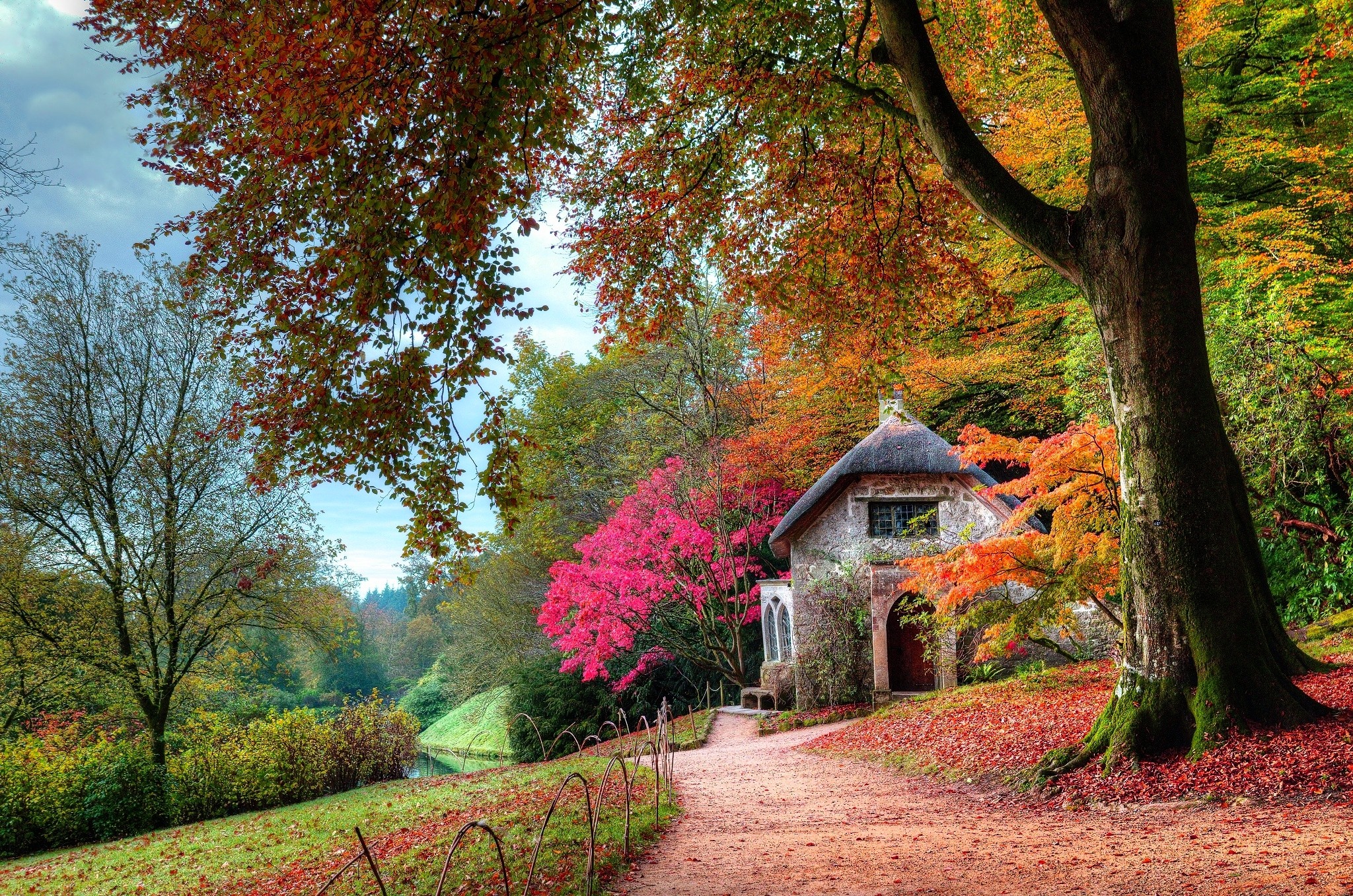 General 2048x1357 fall garden cottage leaves trees shrubs pink green orange path moss nature landscape dirt road