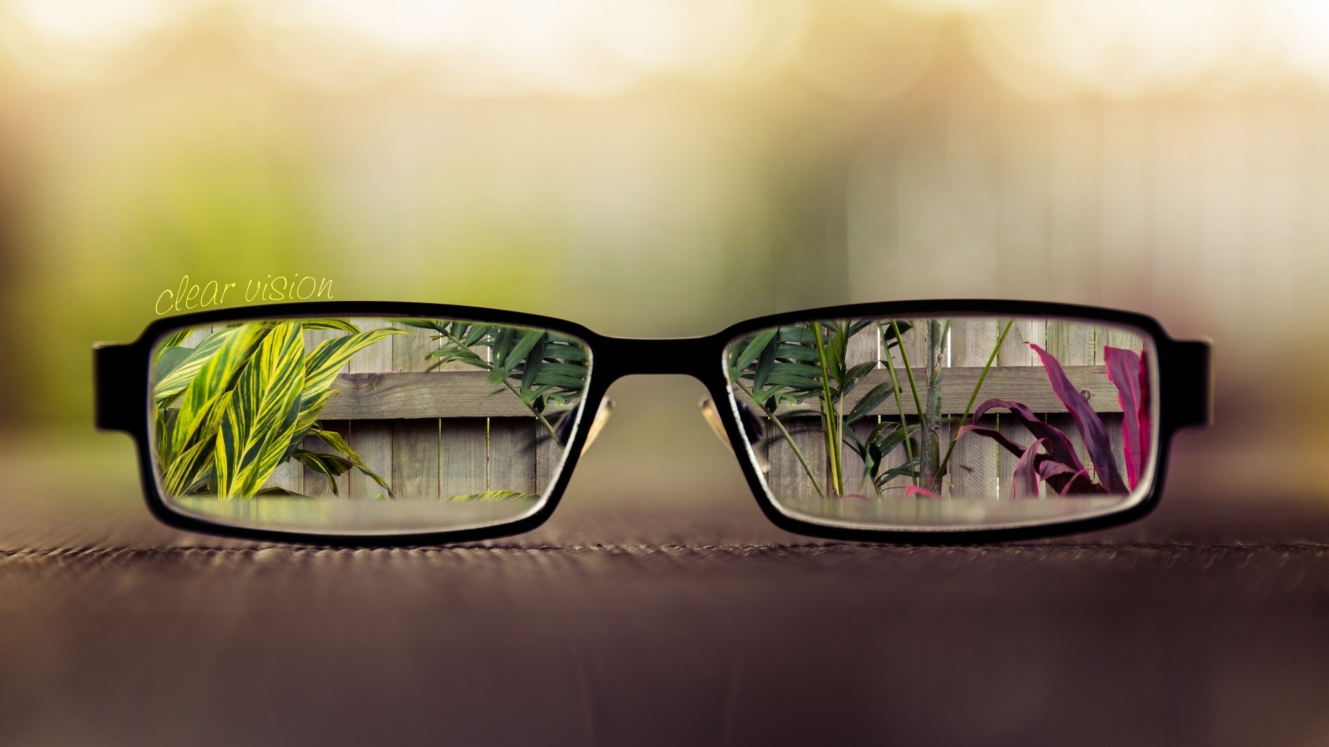 General 1920x1080 glasses blurred plants