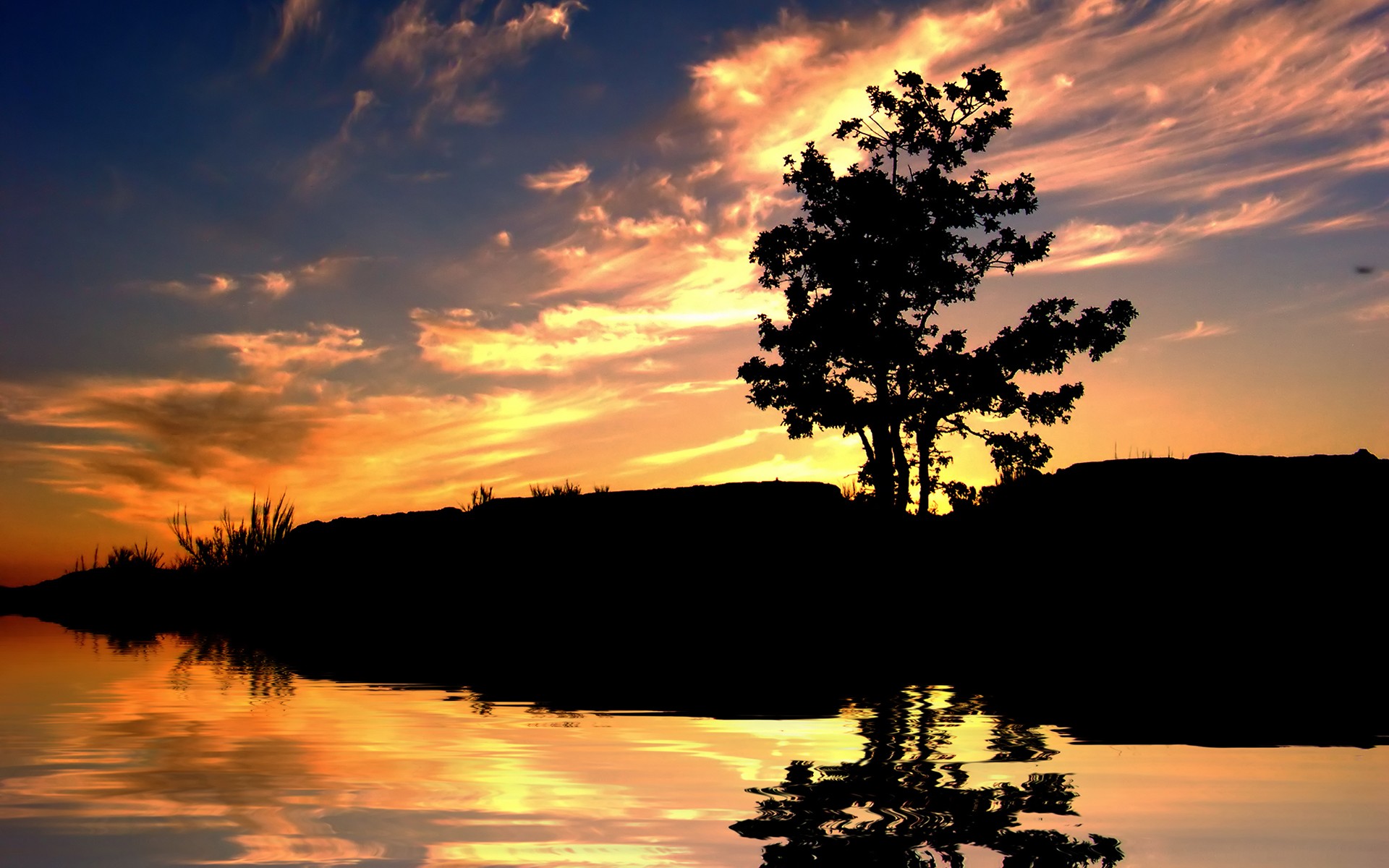 General 1920x1200 sunset nature water reflection sky dusk outdoors trees low light sunlight