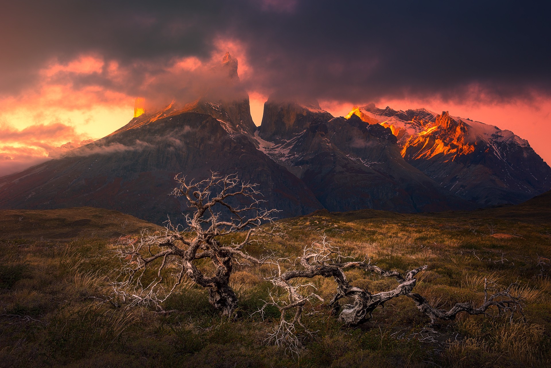 General 1920x1282 mountains sunset Torres del Paine Patagonia Chile dead trees clouds grass snowy peak nature landscape South America