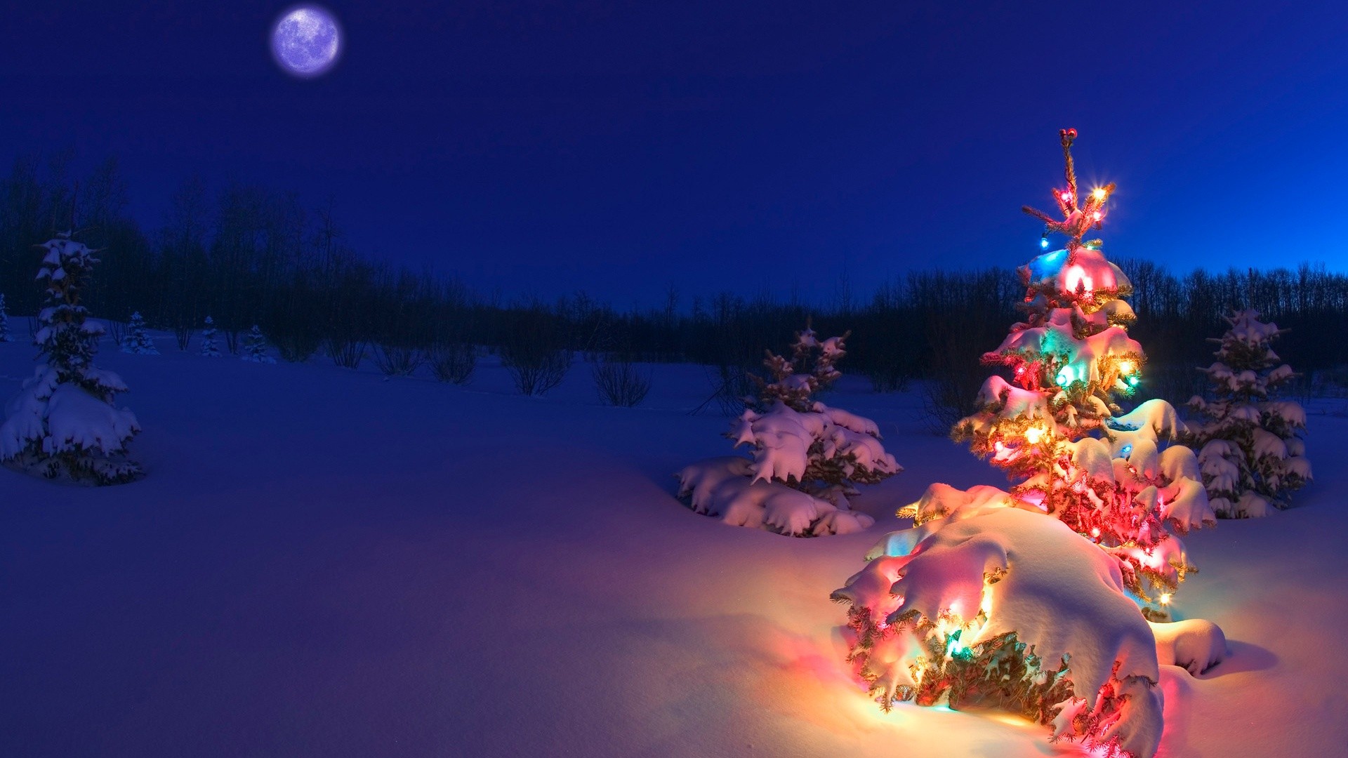 General 1920x1080 Christmas tree snow Christmas lights winter night cold LEDs outdoors Moon holiday