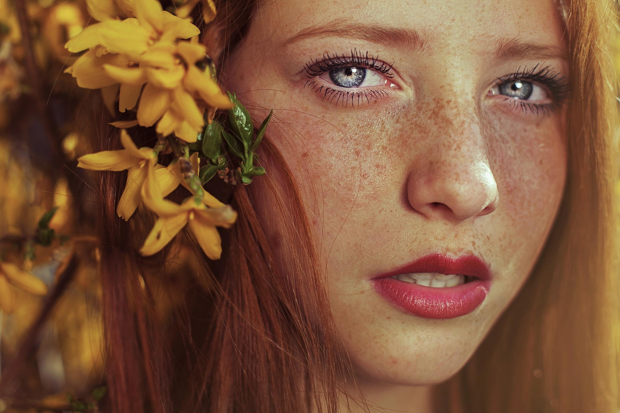 People 2048x1365 women model face redhead long hair portrait freckles looking at viewer blue eyes open mouth flower in hair red lipstick yellow flowers depth of field Maja Topcagic closeup plants makeup