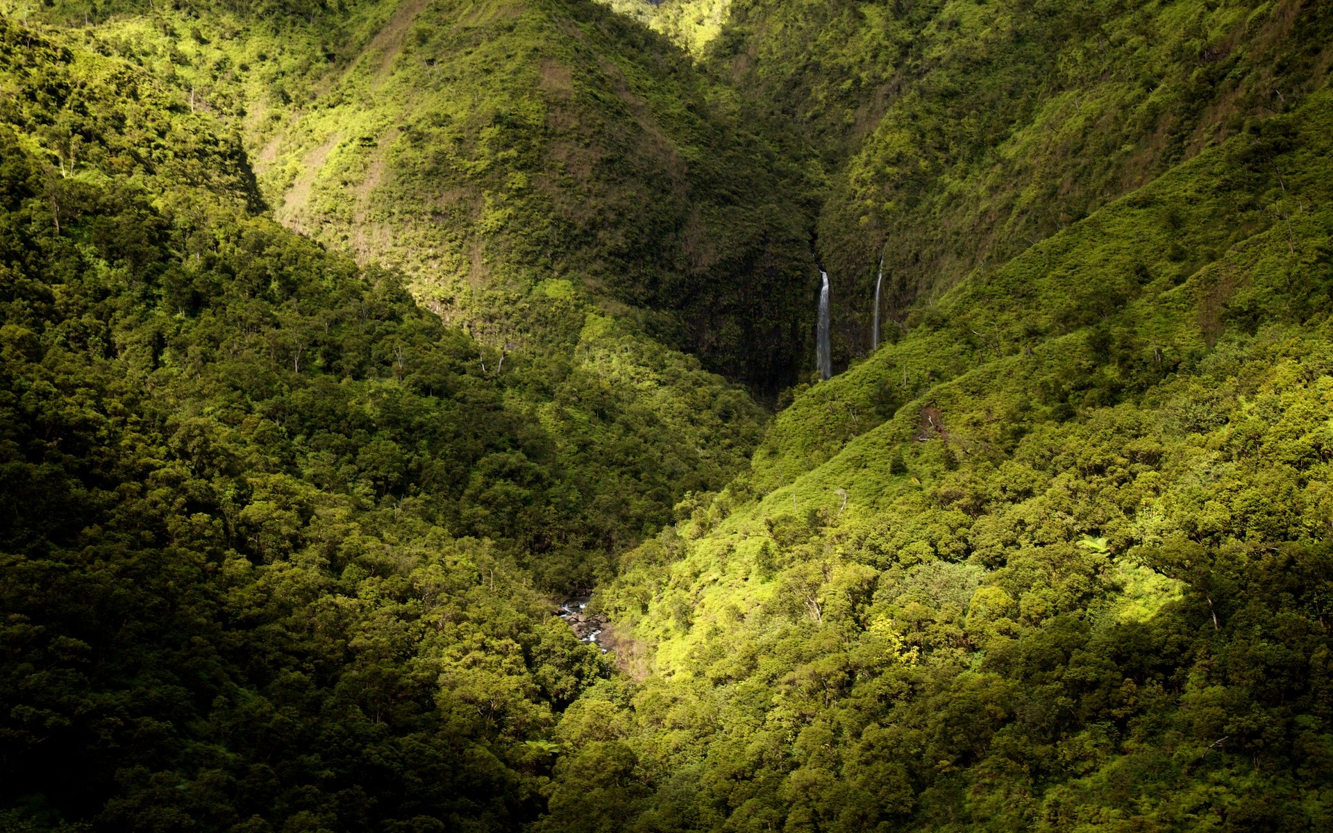 General 1920x1200 landscape nature mountains forest waterfall spring Kauai green USA Hawaii