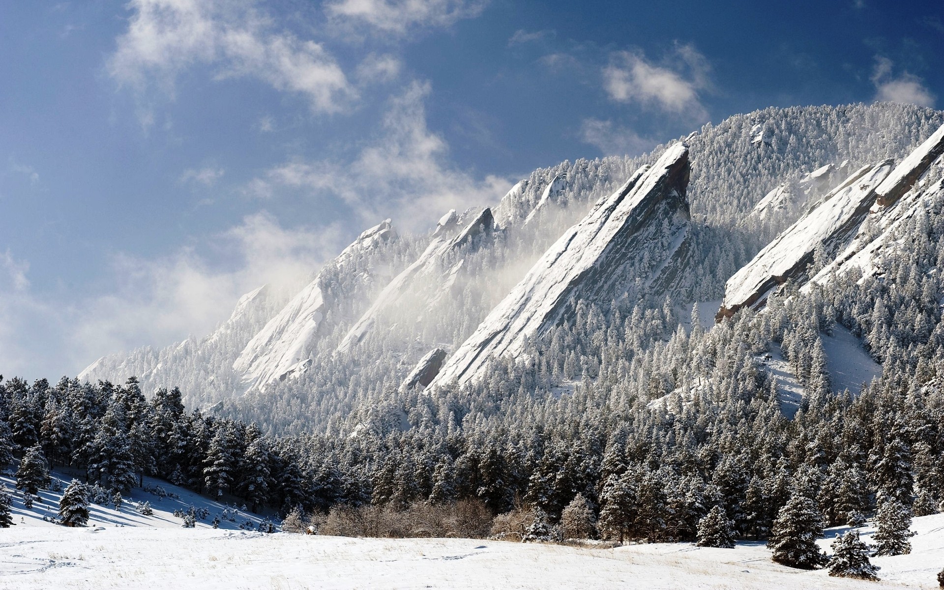 General 1920x1200 nature landscape mountains snow forest Colorado winter pine trees trees Flatirons USA