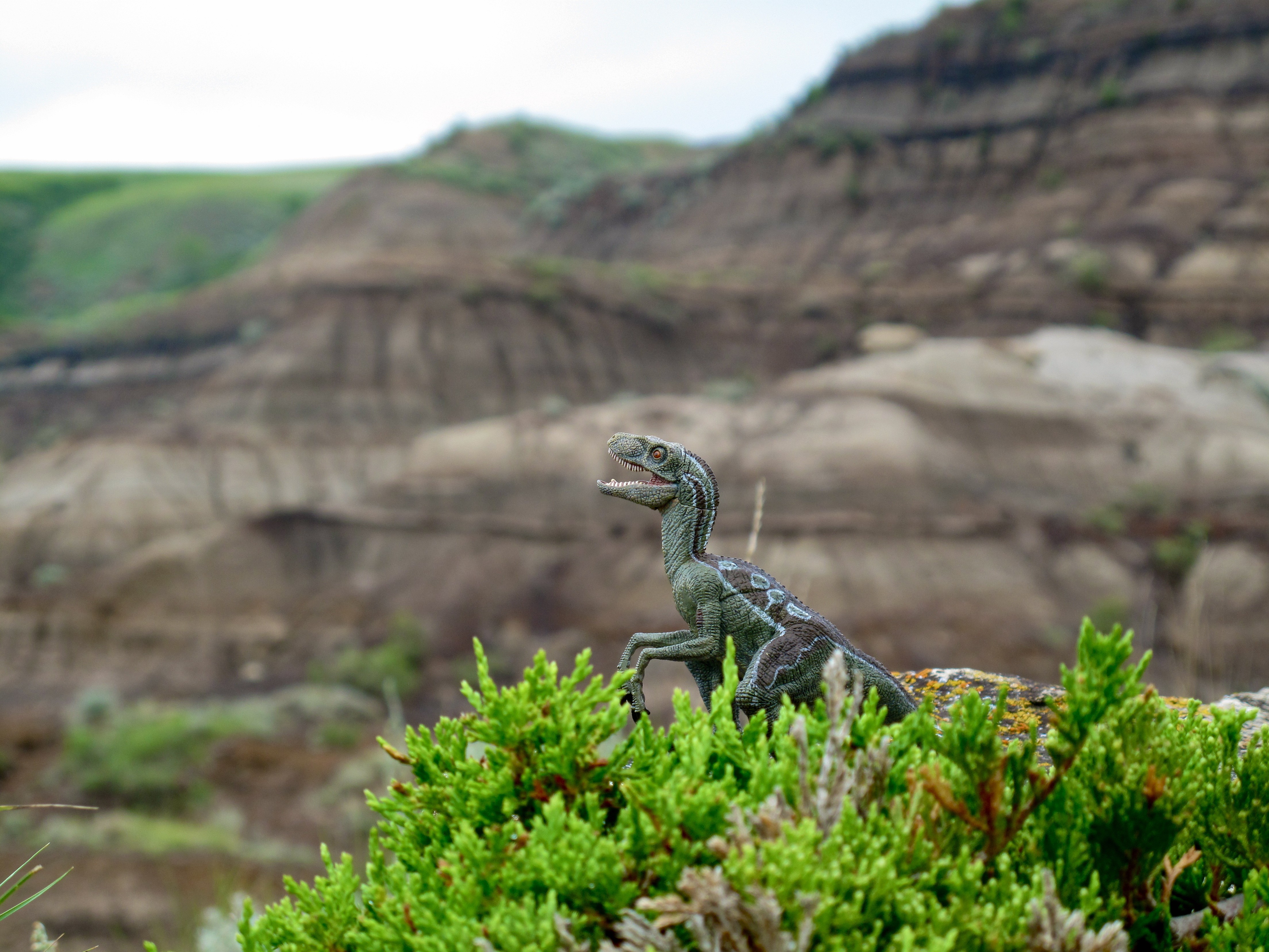 General 4416x3312 dinosaurs nature toys mountains depth of field