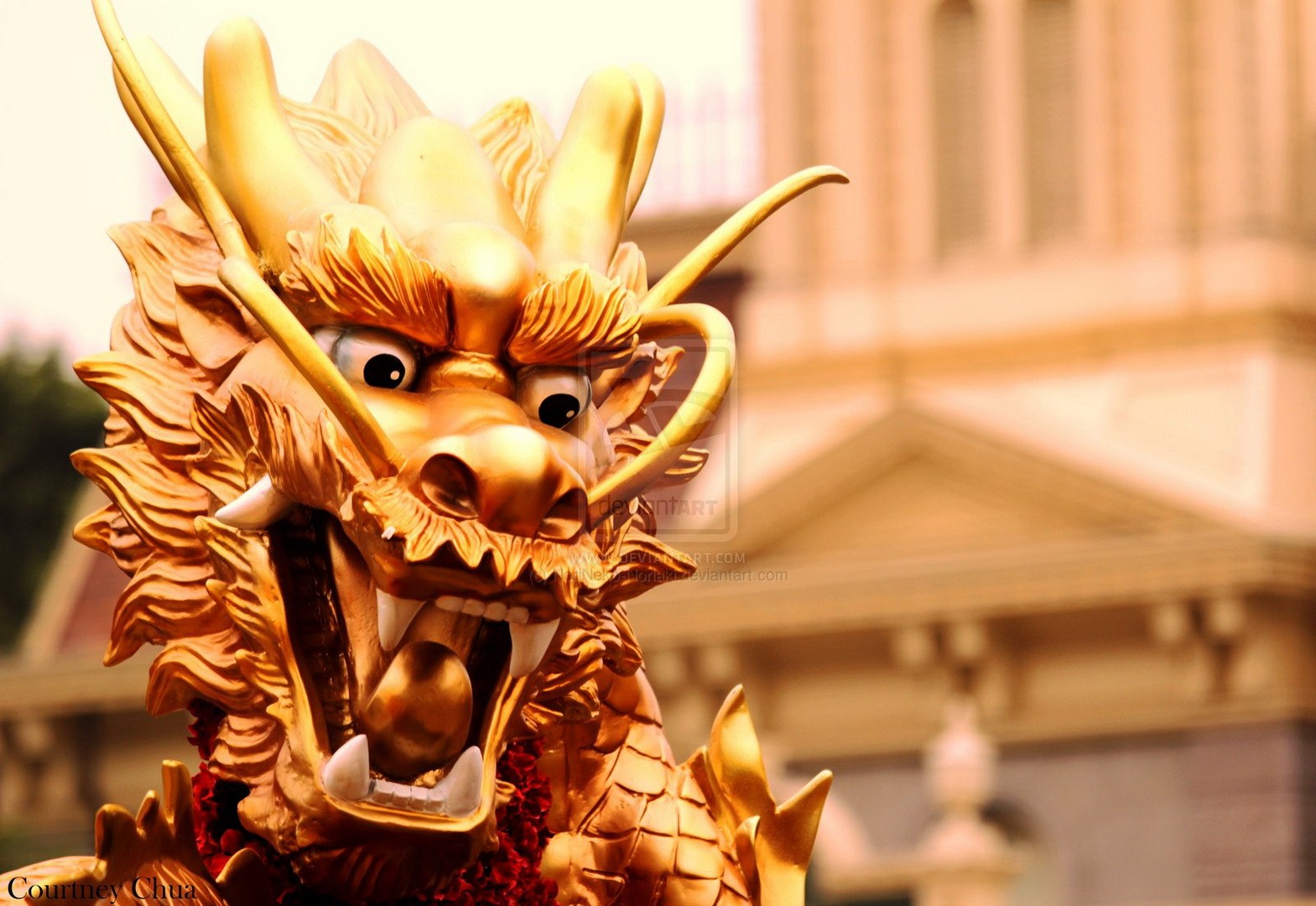 General 1569x1080 Chinese dragon dragon statue culture Asia closeup watermarked blurred blurry background