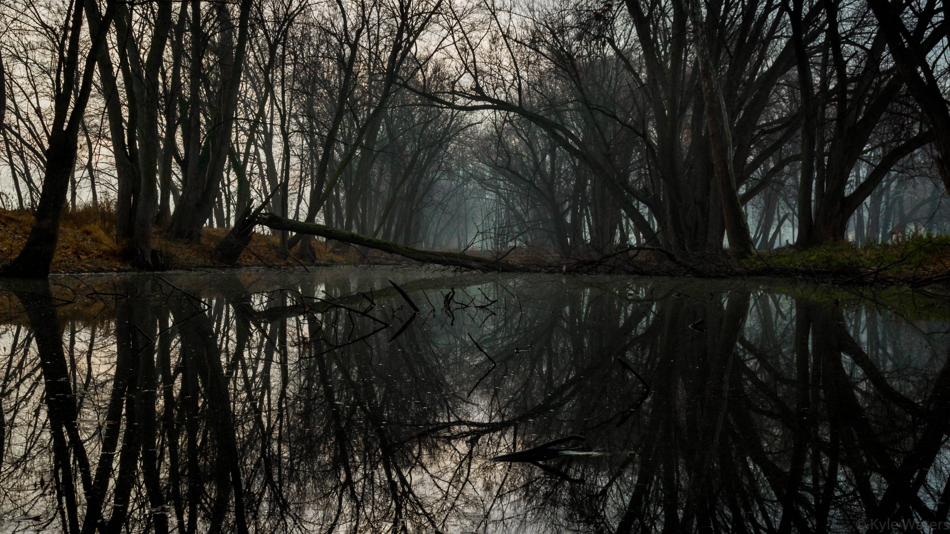 General 3222x1813 dark gloomy reflection dead trees river water fall nature