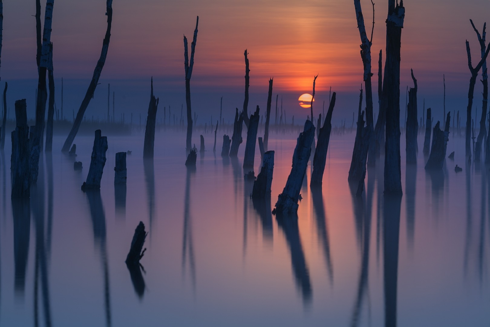General 1620x1081 nature landscape mist lake sunset dead trees sky reflection sunlight swamp