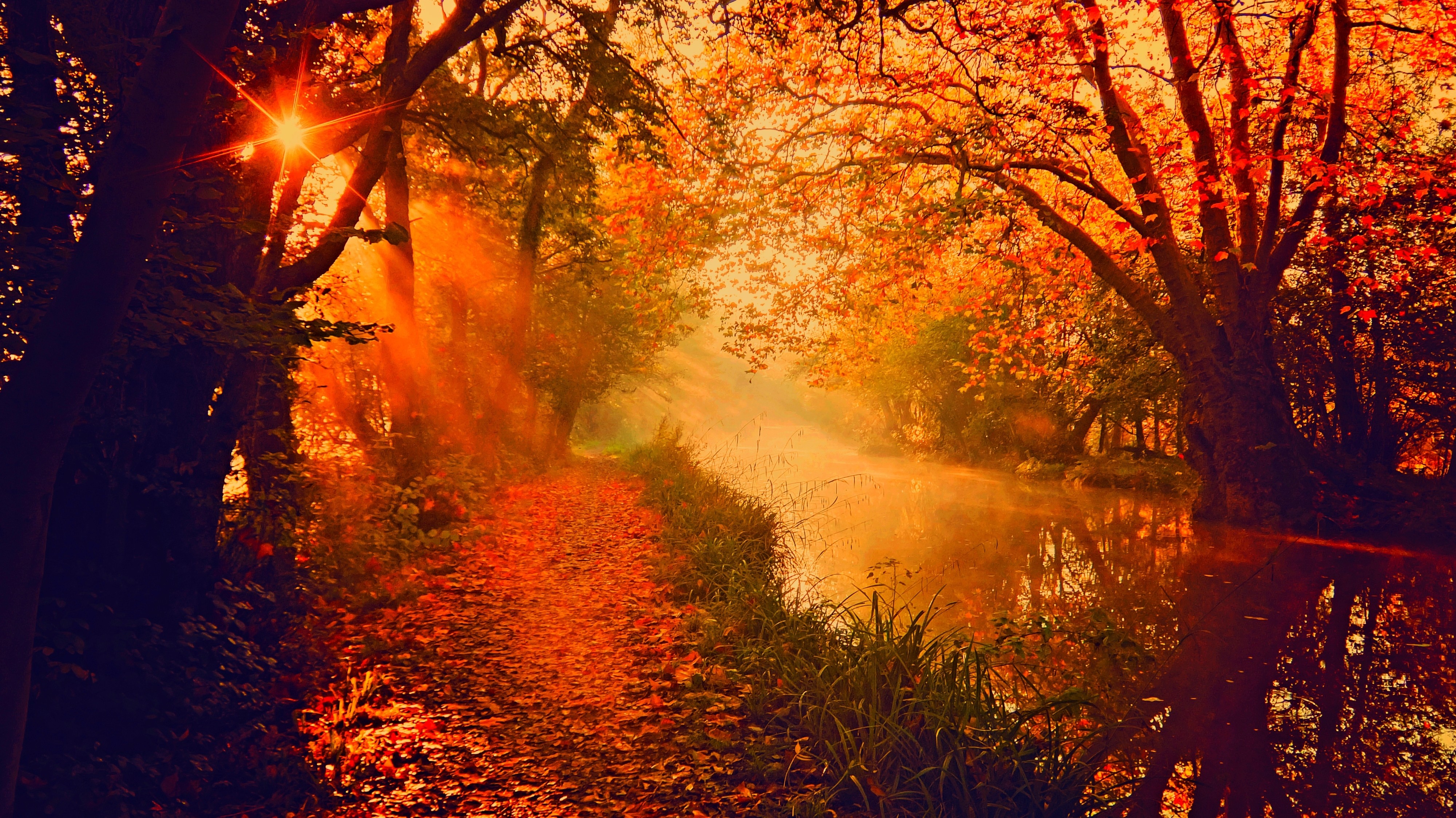 General 4000x2248 trees river sun rays fall nature sunlight fallen leaves