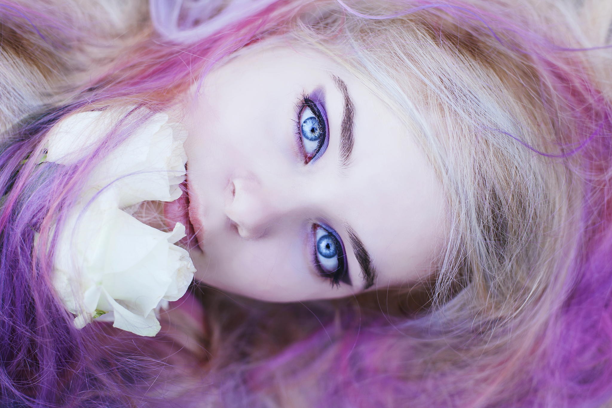 People 2048x1365 women face model blue eyes dyed hair Lejla Dolores closeup purple hair looking at viewer makeup