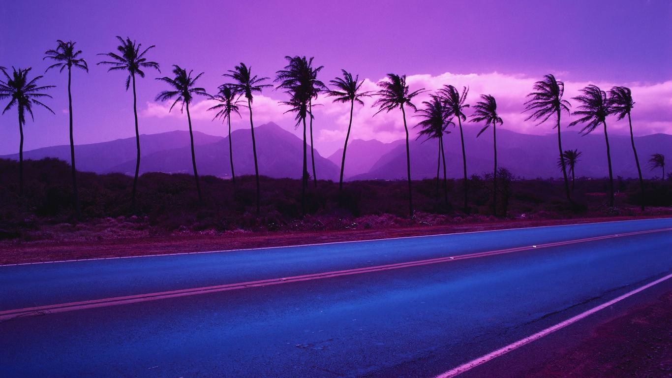 General 1366x768 road palm trees mountains purple landscape