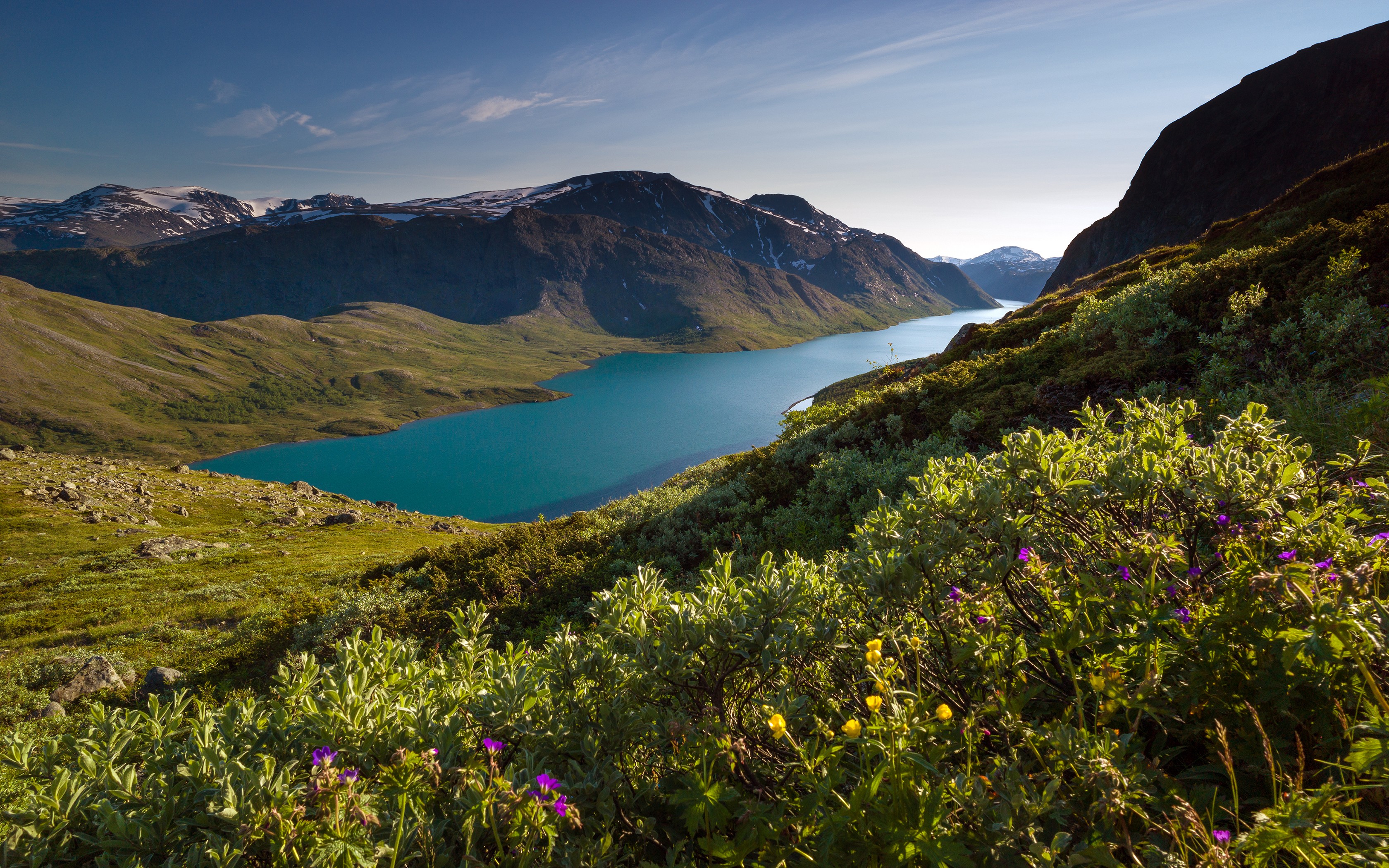 General 3360x2100 nature landscape mountains fjord snowy peak sunlight grass wildflowers summer Norway valley